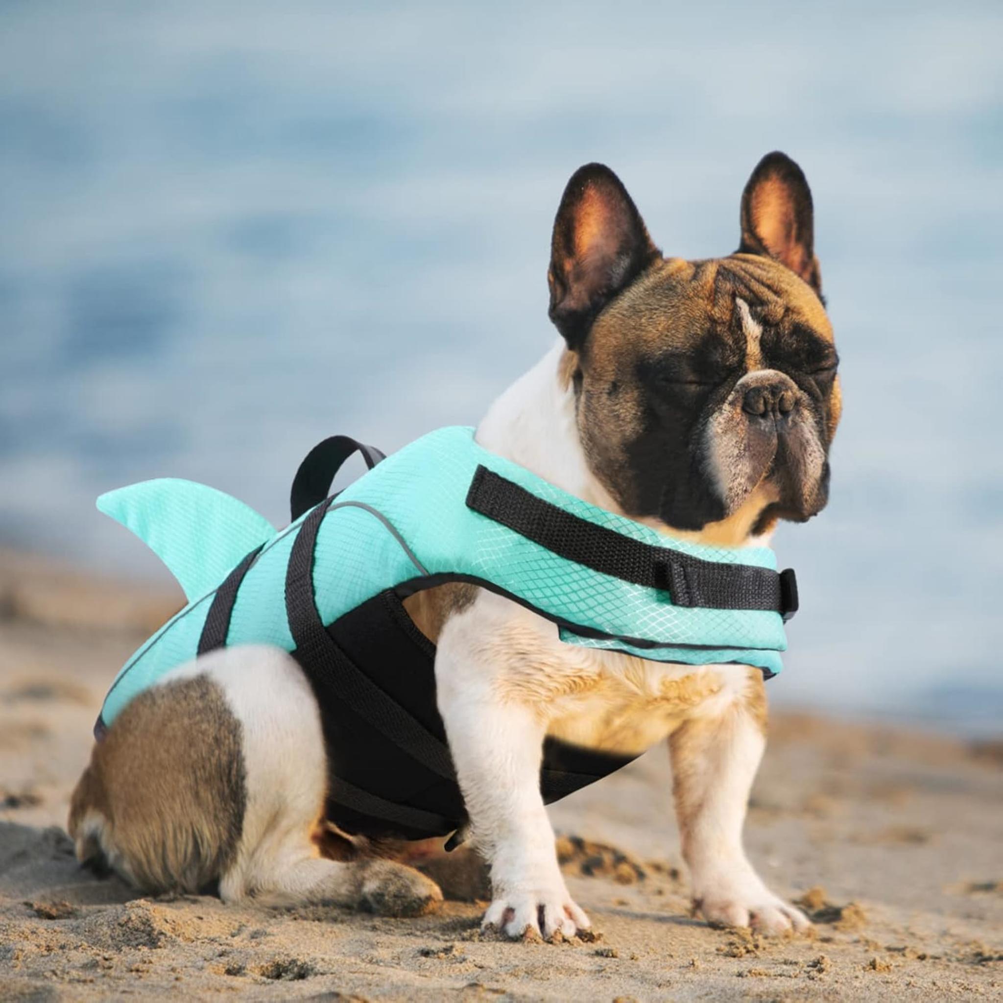Shark Dog Life Jacket with High Buoyancy and Rescue Handle for Small Dogs