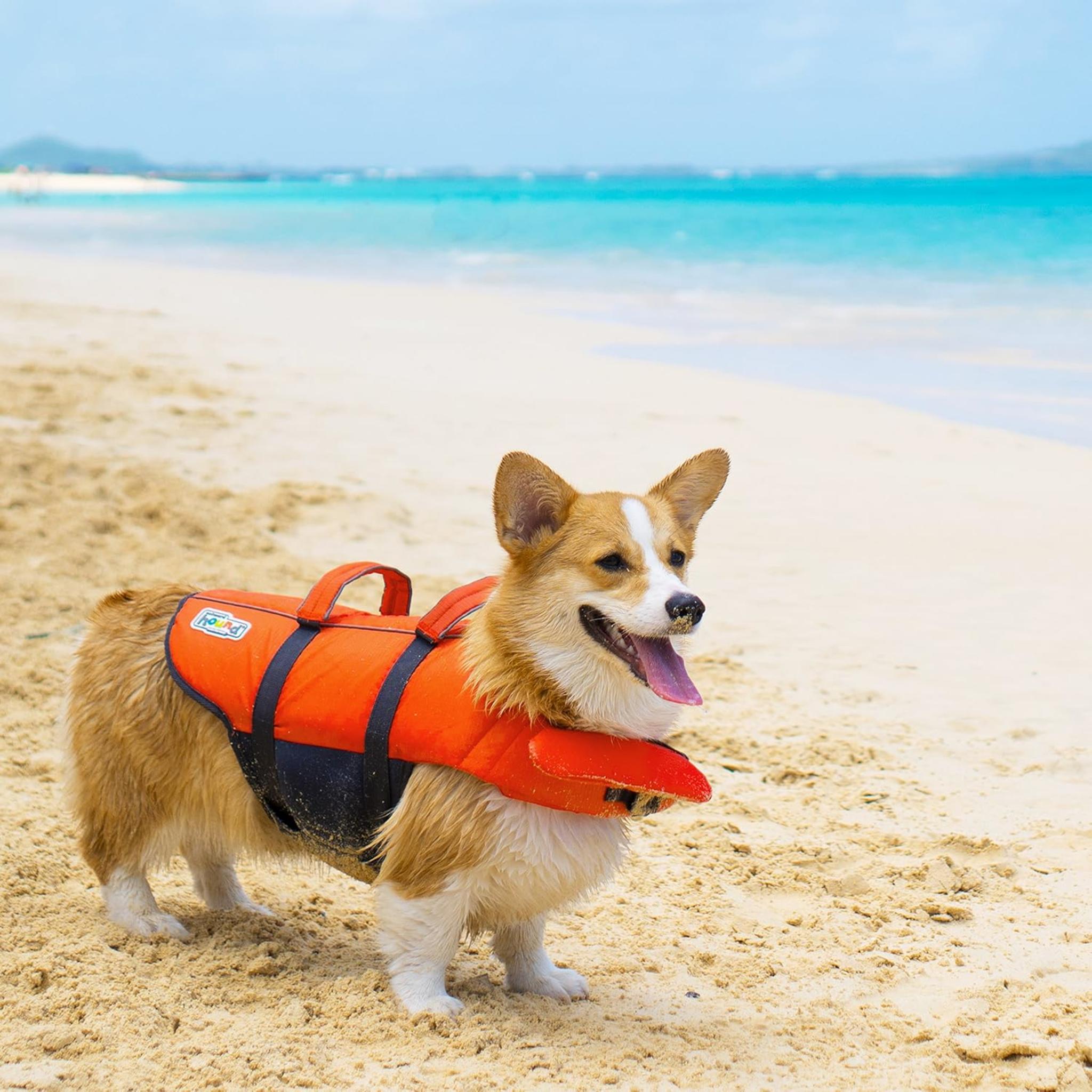 Granby Splash Dog Life Jacket - High Visibility Safety Vest with Dual Rescue Handles