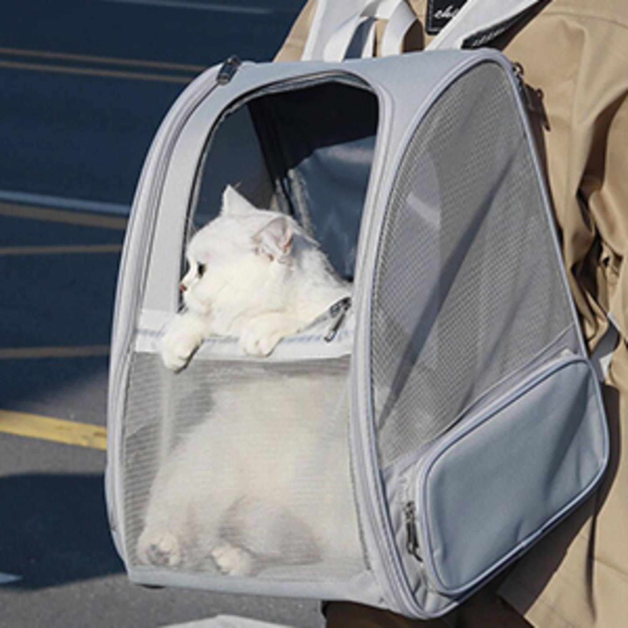 Pet Backpack Carrier for Cats and Small Dogs, Ventilated Mesh Design for Hiking and Travel image 11