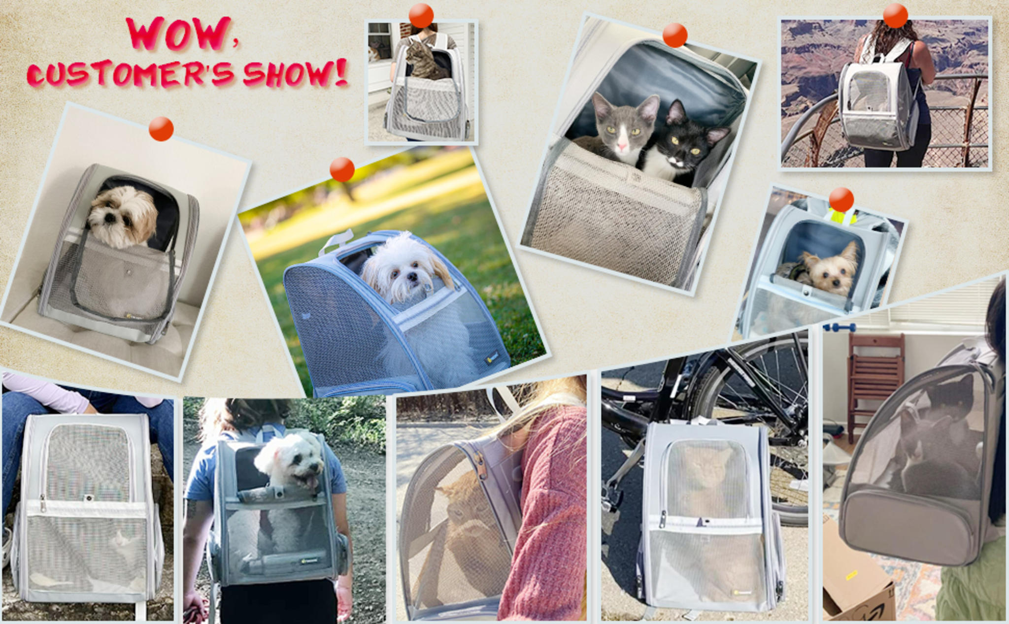 Pet Backpack Carrier for Cats and Small Dogs, Ventilated Mesh Design for Hiking and Travel image 13
