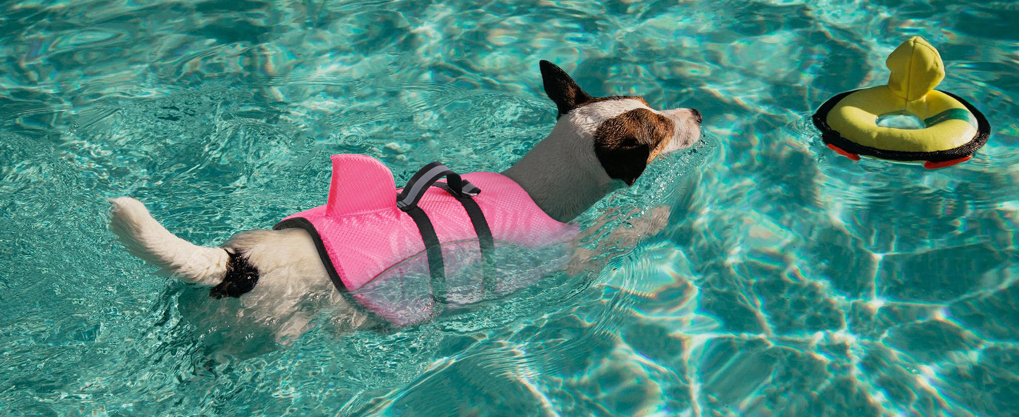 Shark Dog Life Jacket with High Buoyancy and Rescue Handle for Small Dogs image 20