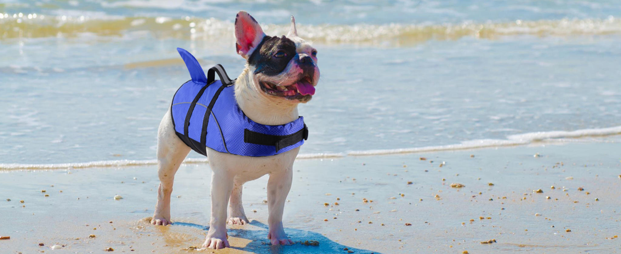 Shark Dog Life Jacket with High Buoyancy and Rescue Handle for Small Dogs image 21