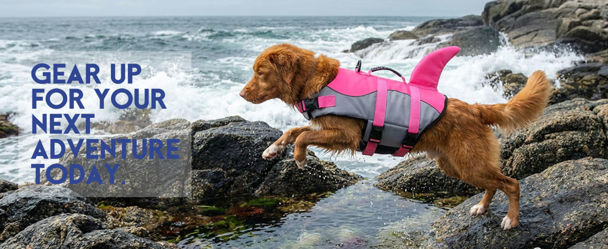 Shark Dog Life Jacket - High Buoyancy Pet Safety Vest with Rescue Handle image 22