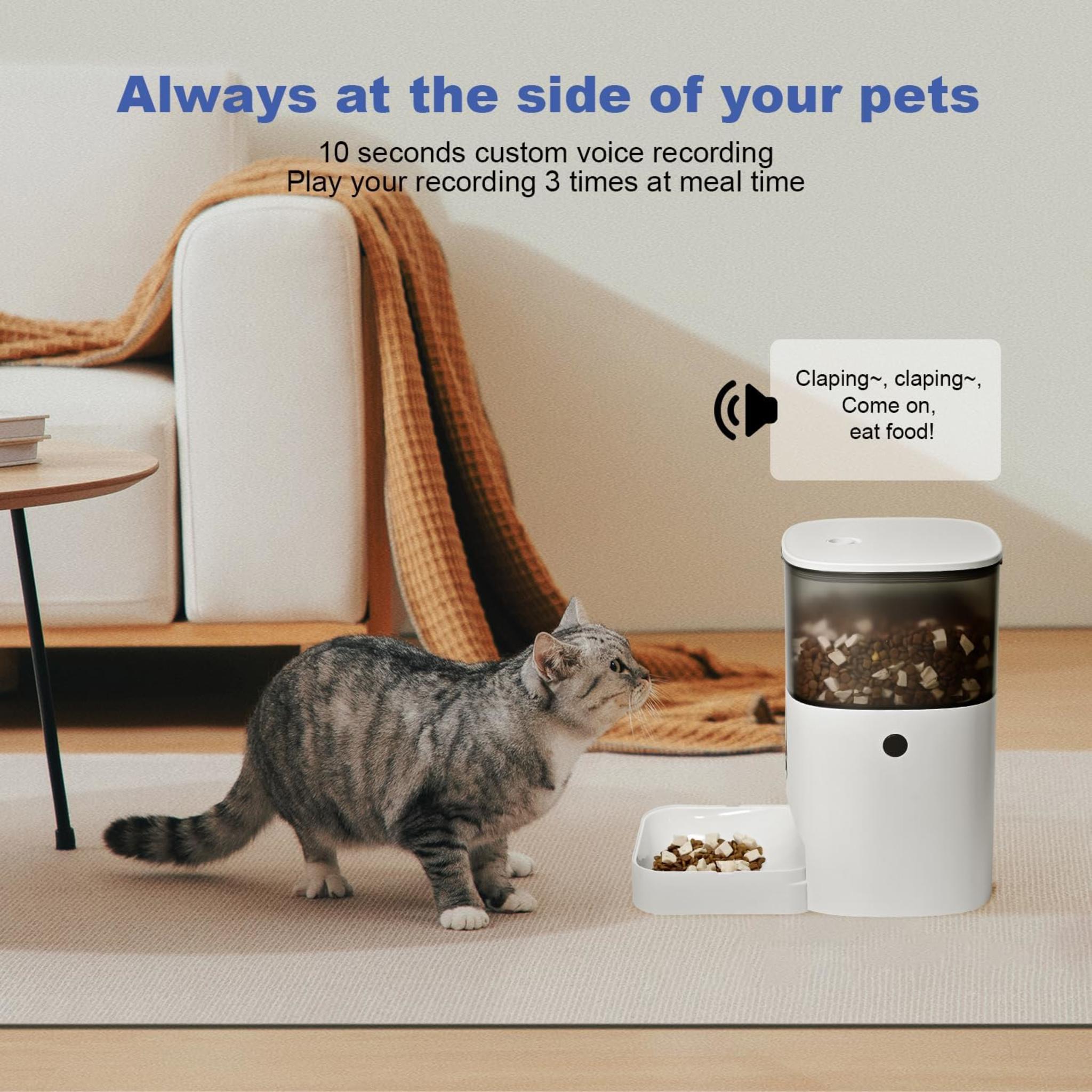 Automatic Cat Feeder with 10s Voice Recorder, 4L Timed Pet Food Dispenser for 8 Meals Daily