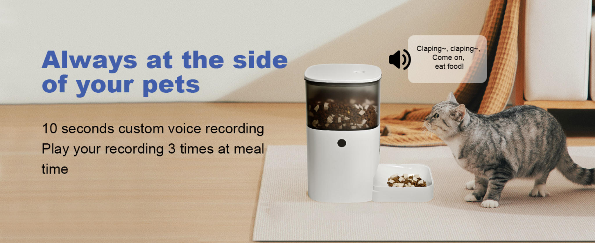 Automatic Cat Feeder with 10s Voice Recorder, 4L Timed Pet Food Dispenser for 8 Meals Daily image 14