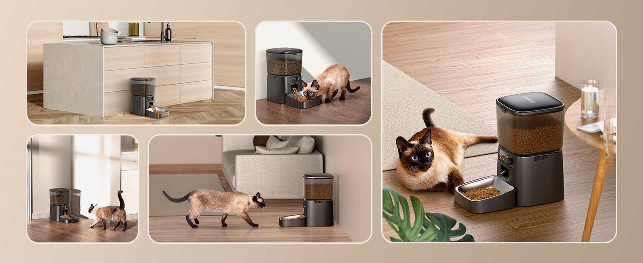 Automatic Cat Feeder with WiFi App Control and Precise Portion Management image 24