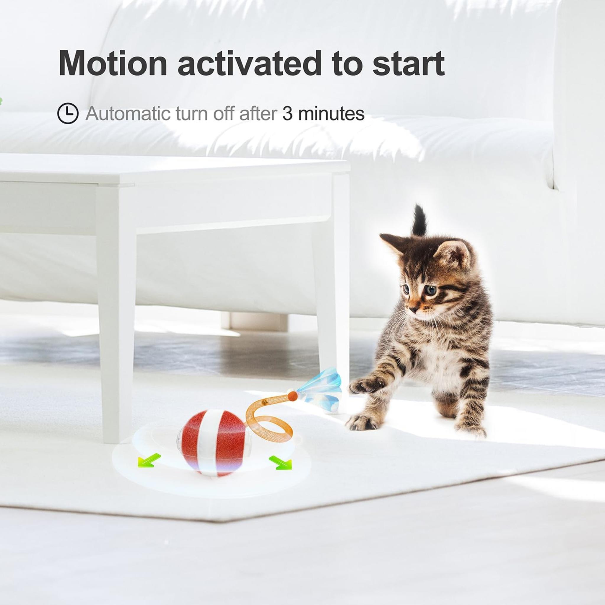 Interactive Cat Ball Toy with Elastic Mesh Tail, Motion Activated Automatic Kitten Toy for All Floors