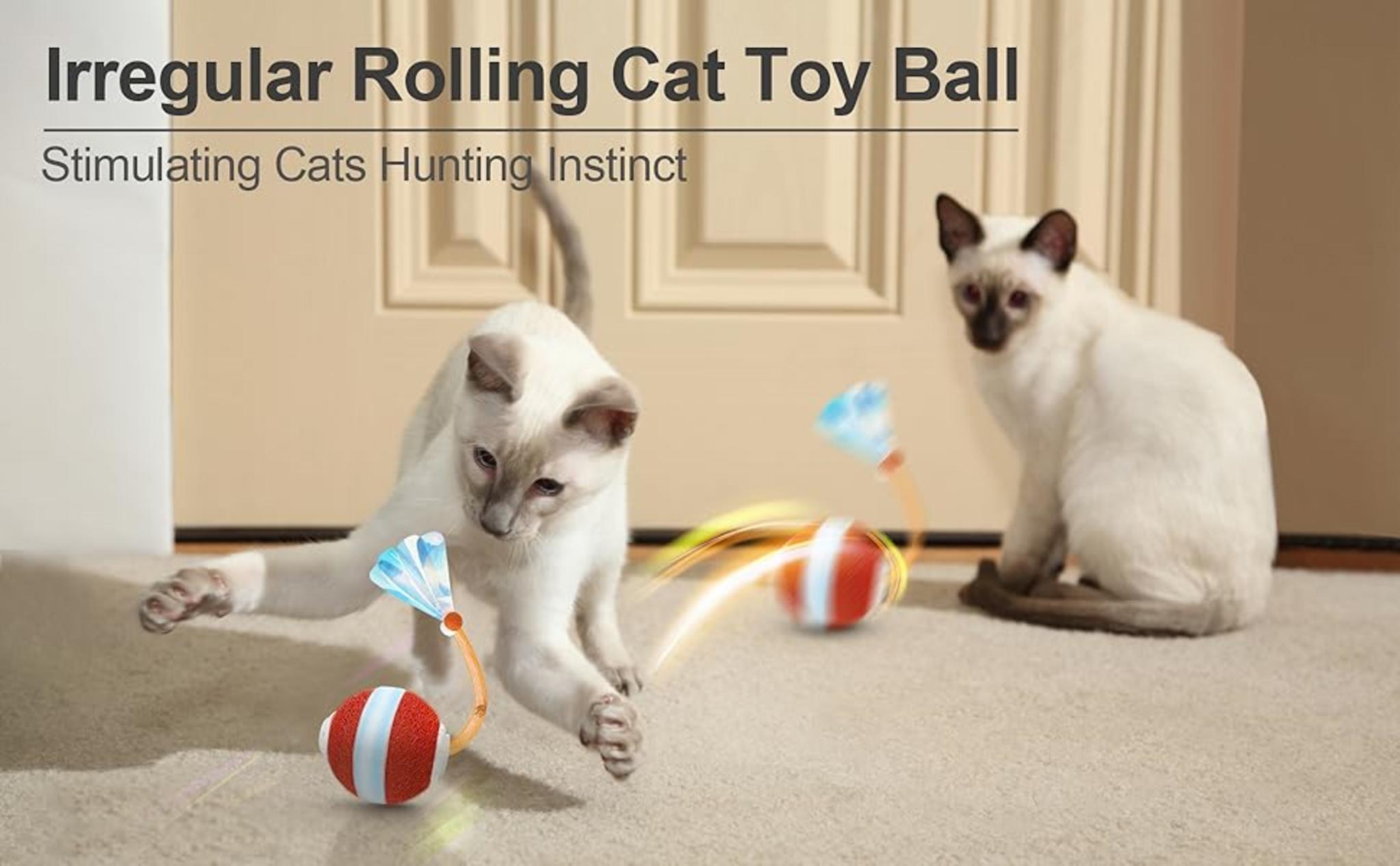 Interactive Cat Ball Toy with Elastic Mesh Tail, Motion Activated Automatic Kitten Toy for All Floors image 7