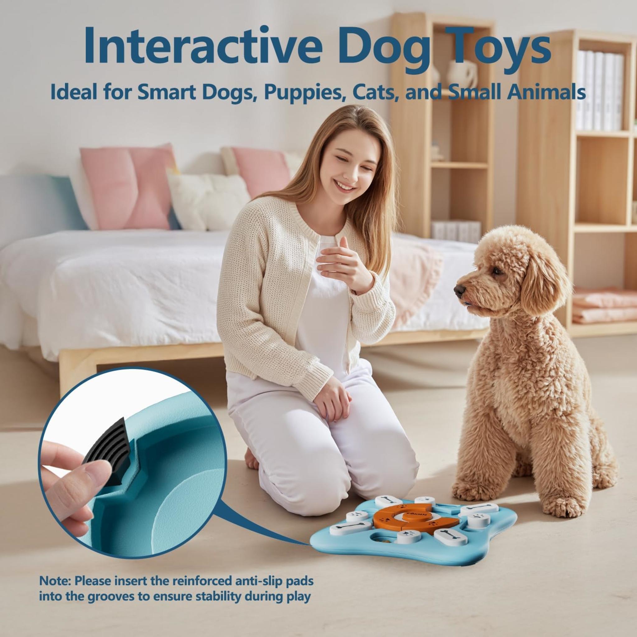 Interactive Dog Puzzle Toy for IQ Training, Squeaky Slow Feeder for Mental Stimulation