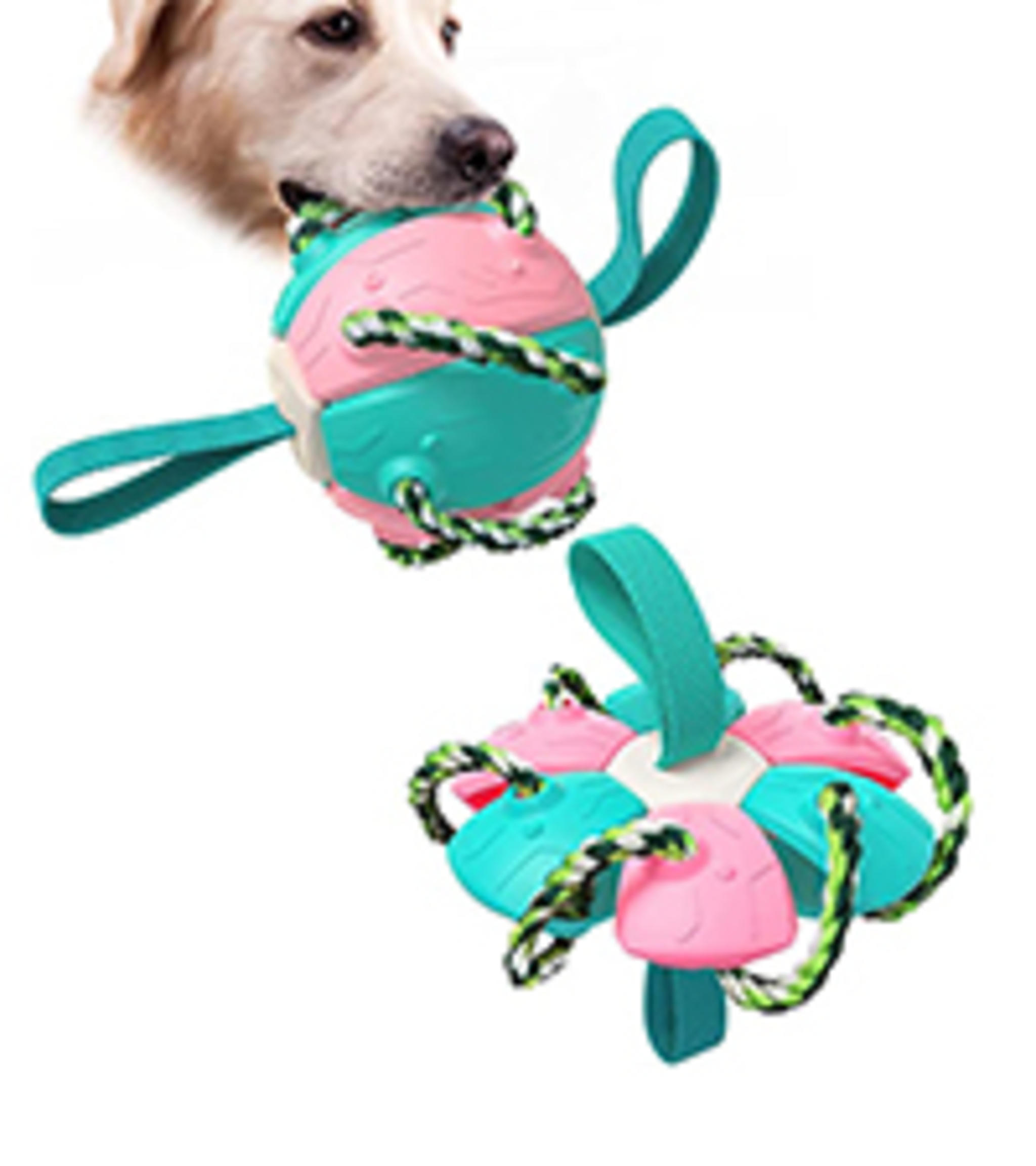 2-Level Interactive Dog Puzzle Toy and Slow Feeder for IQ Training and Mental Enrichment image 16