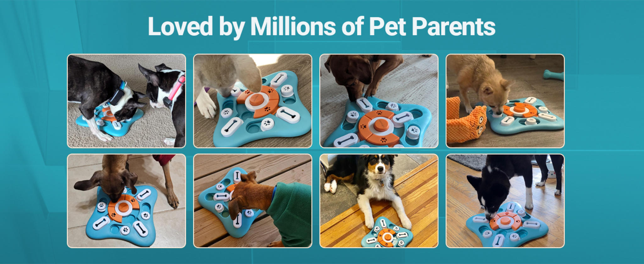 Interactive Dog Puzzle Toy for IQ Training, Squeaky Slow Feeder for Mental Stimulation image 11