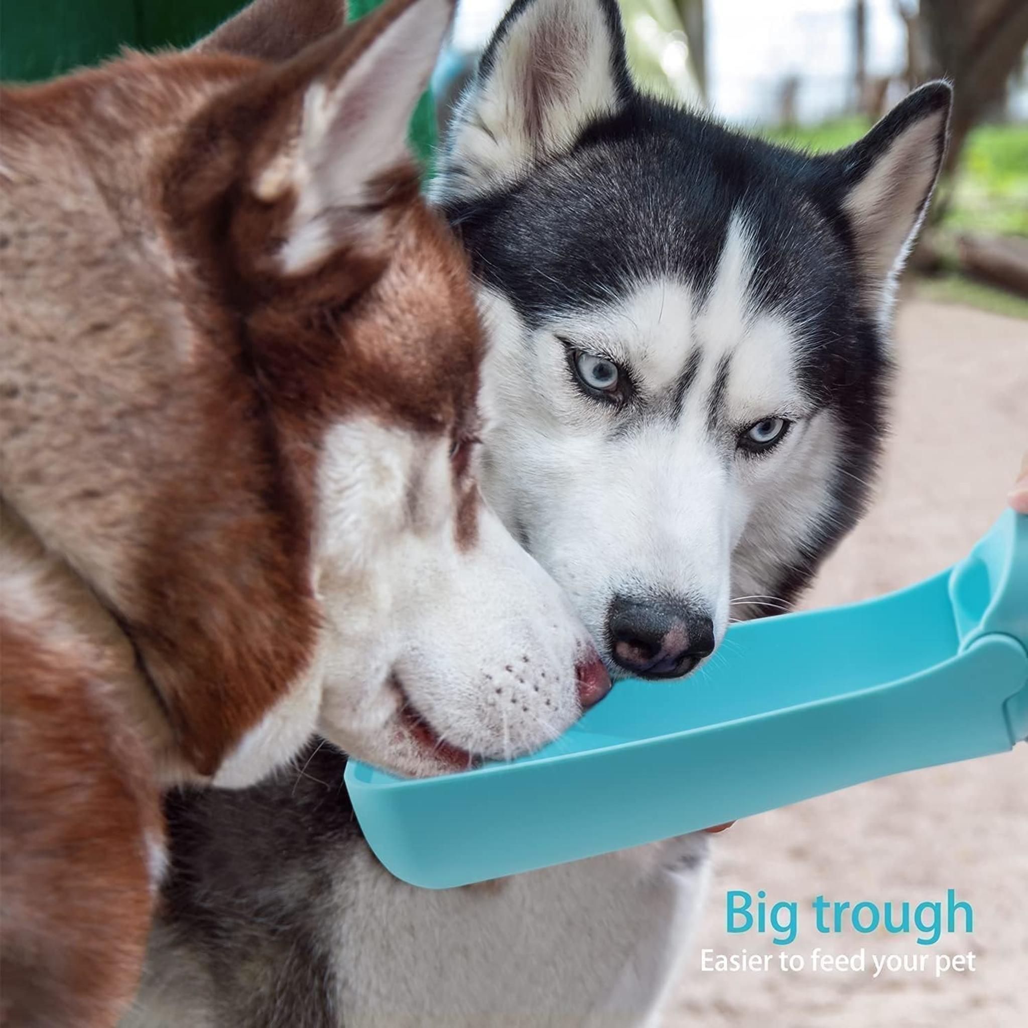 Foldable Portable Dog Water Bottle with Leak-Proof Seal for Walking and Travel