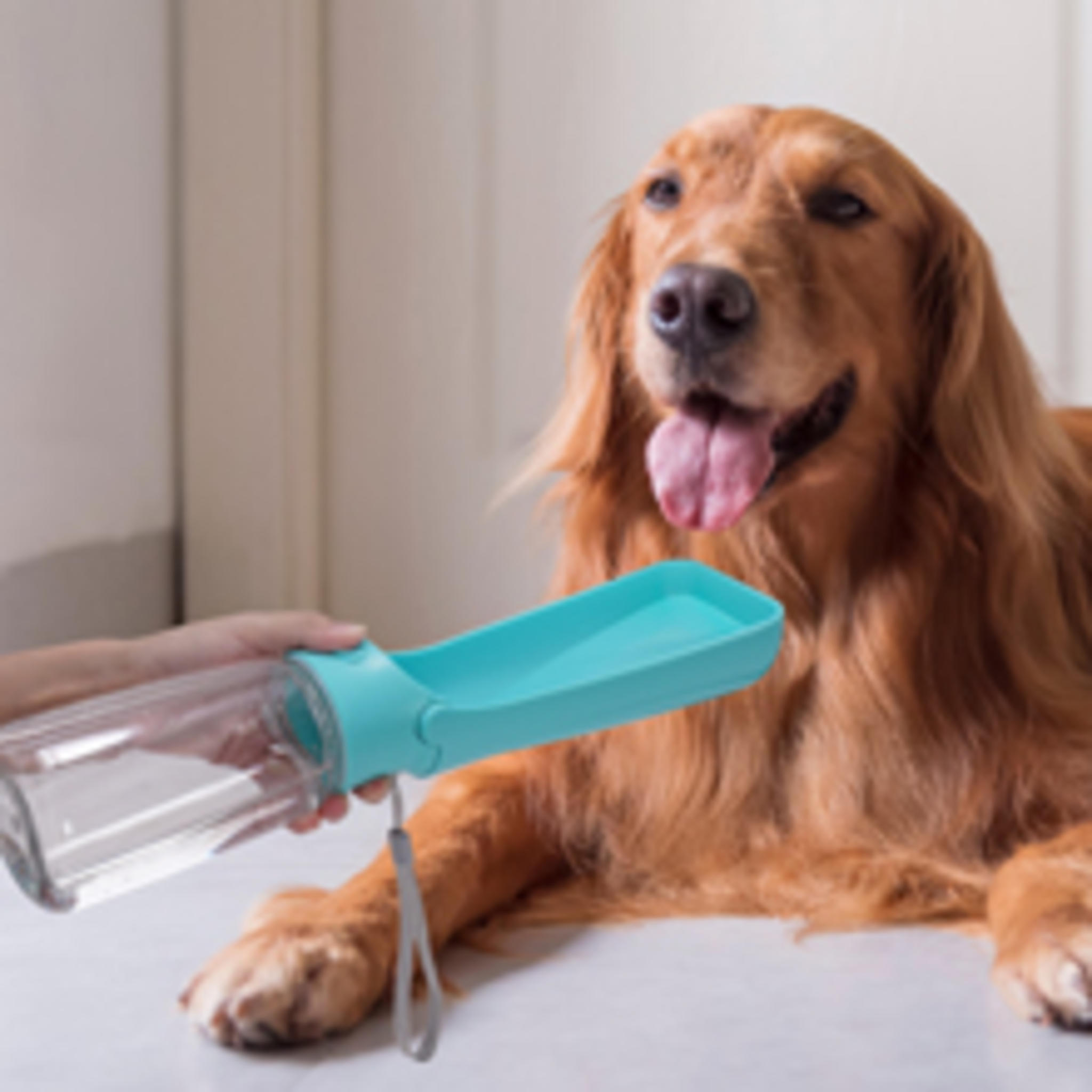 Foldable Portable Dog Water Bottle with Leak-Proof Seal for Walking and Travel image 14