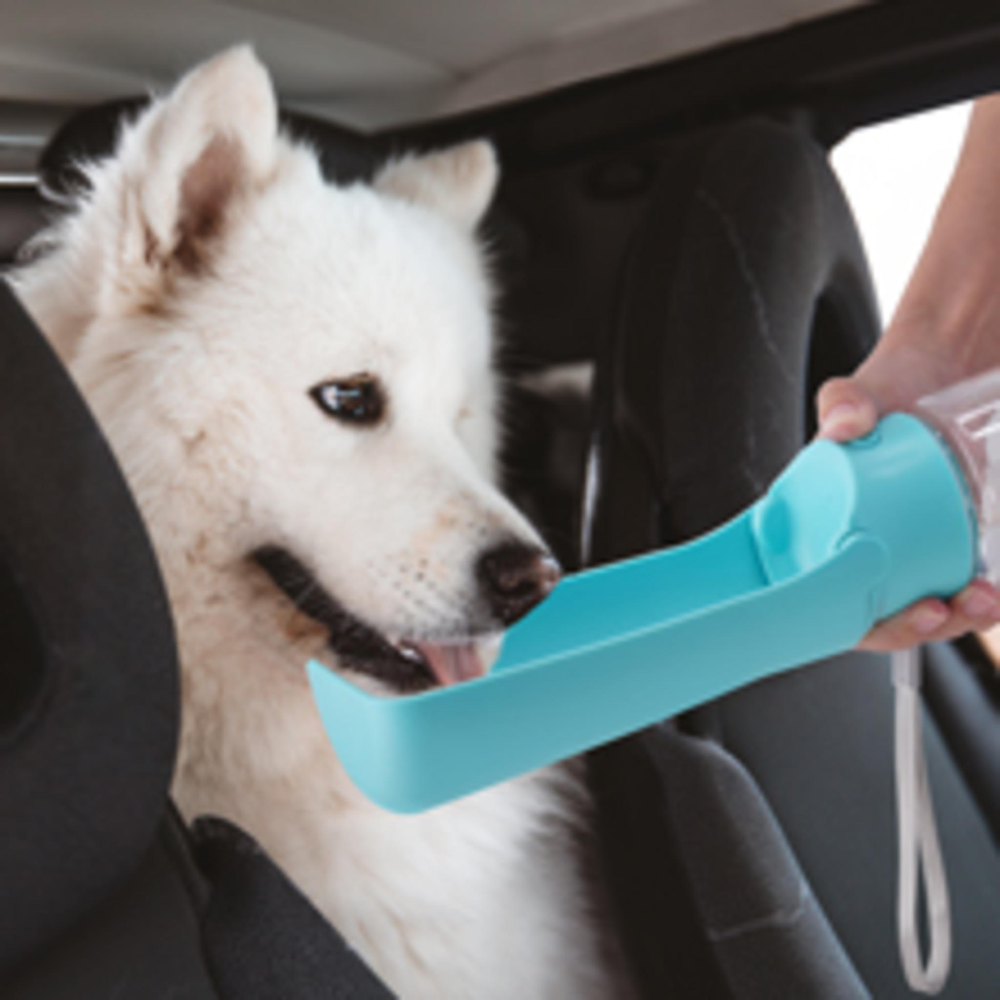 Foldable Portable Dog Water Bottle with Leak-Proof Seal for Walking and Travel image 15