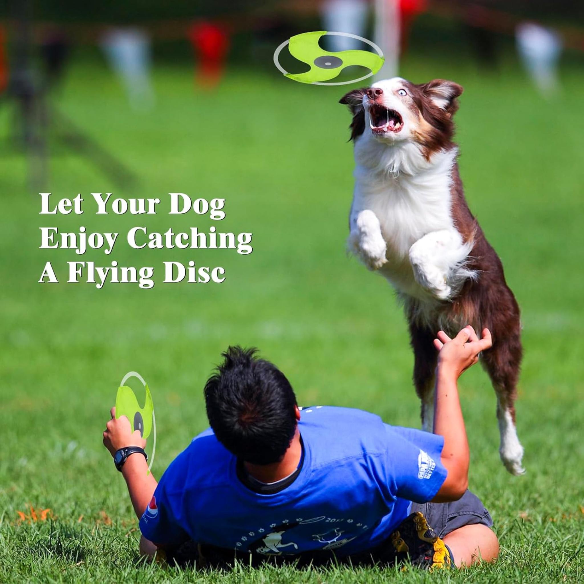 Rechargeable LED Dog Flying Disc - Glow in the Dark Pet Toy with 3 Light Modes