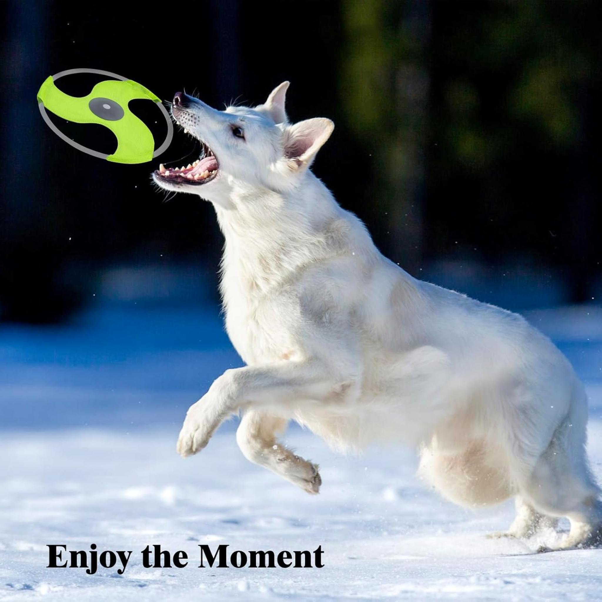 Rechargeable LED Dog Flying Disc - Glow in the Dark Pet Toy with 3 Light Modes