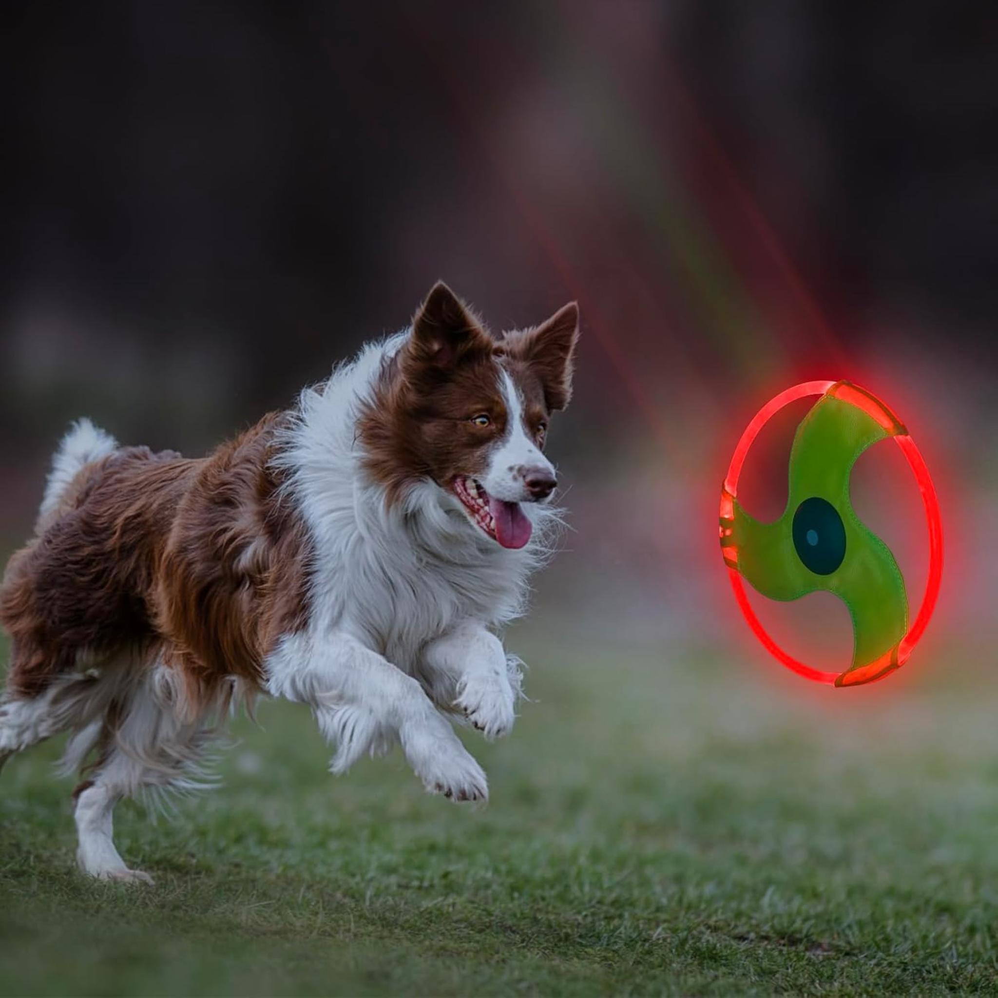 Rechargeable LED Dog Flying Disc - Glow in the Dark Pet Toy with 3 Light Modes