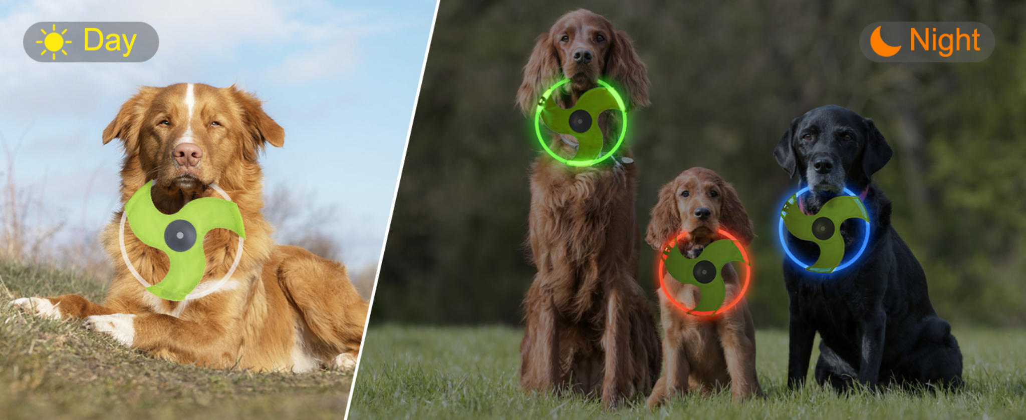 Rechargeable LED Dog Flying Disc - Glow in the Dark Pet Toy with 3 Light Modes image 8