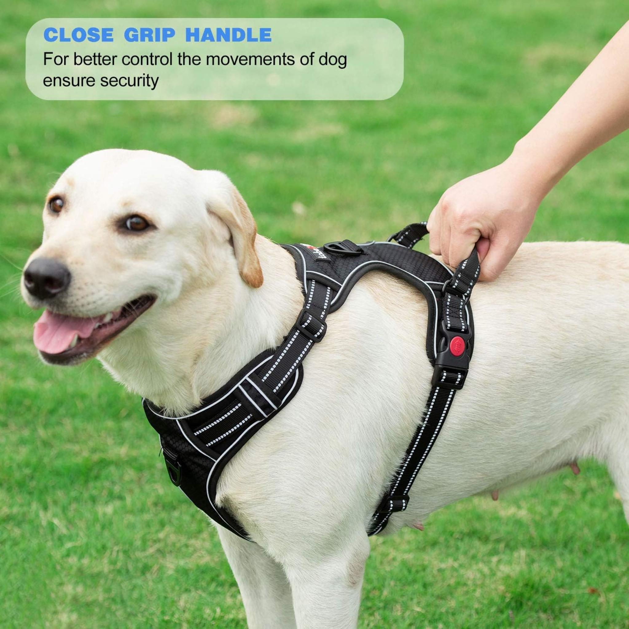 No Pull Dog Harness with 5ft Leash, Reflective Oxford Vest for Medium Large Dogs