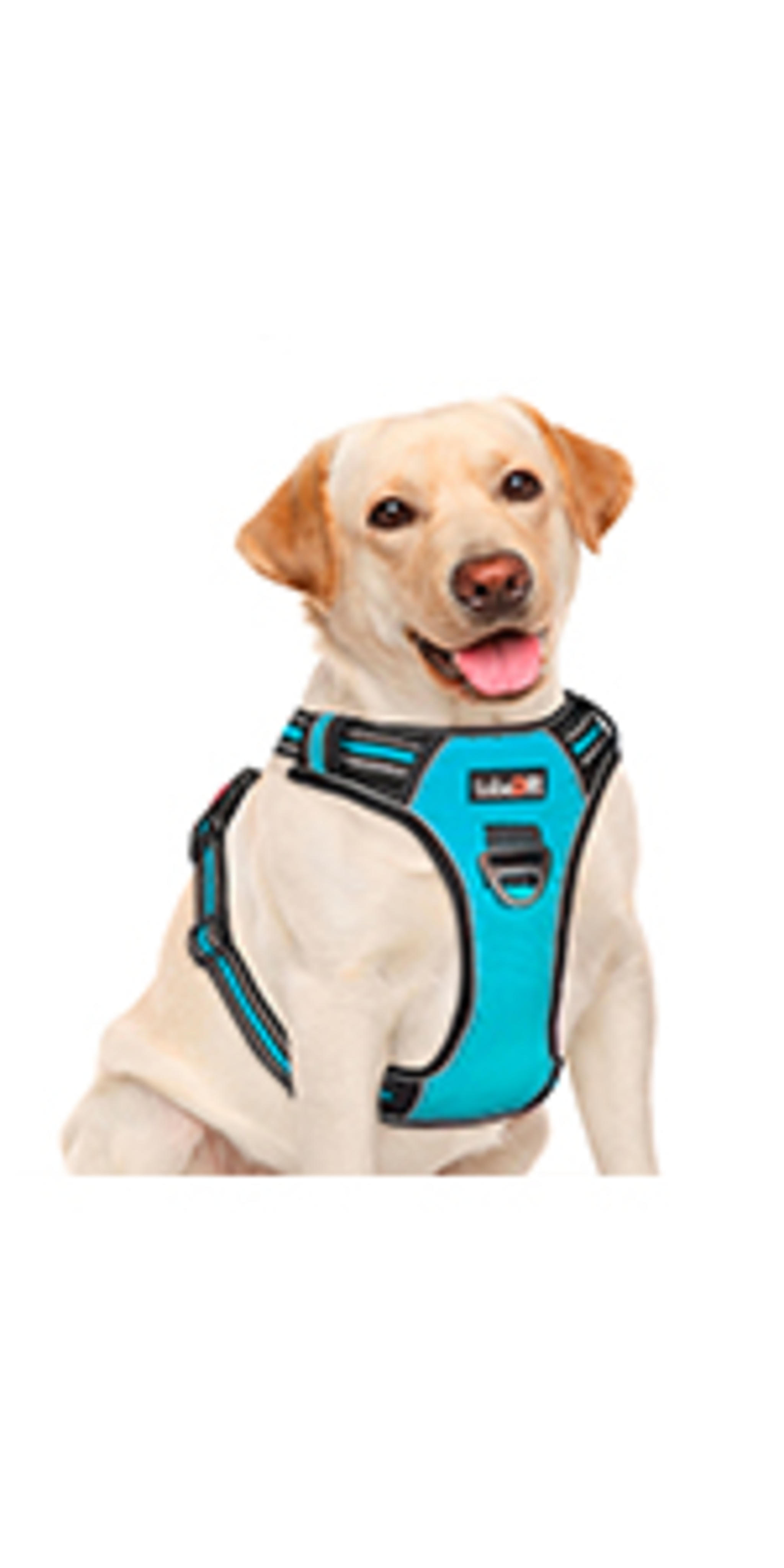 No Pull Dog Harness with 5ft Leash, Reflective Oxford Vest for Medium Large Dogs image 11