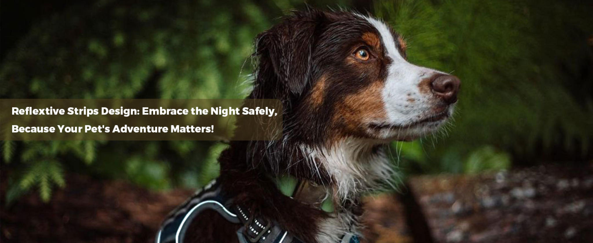 Tactical Dog Harness No Pull Reflective Military Pet Vest with Handle for Training image 15