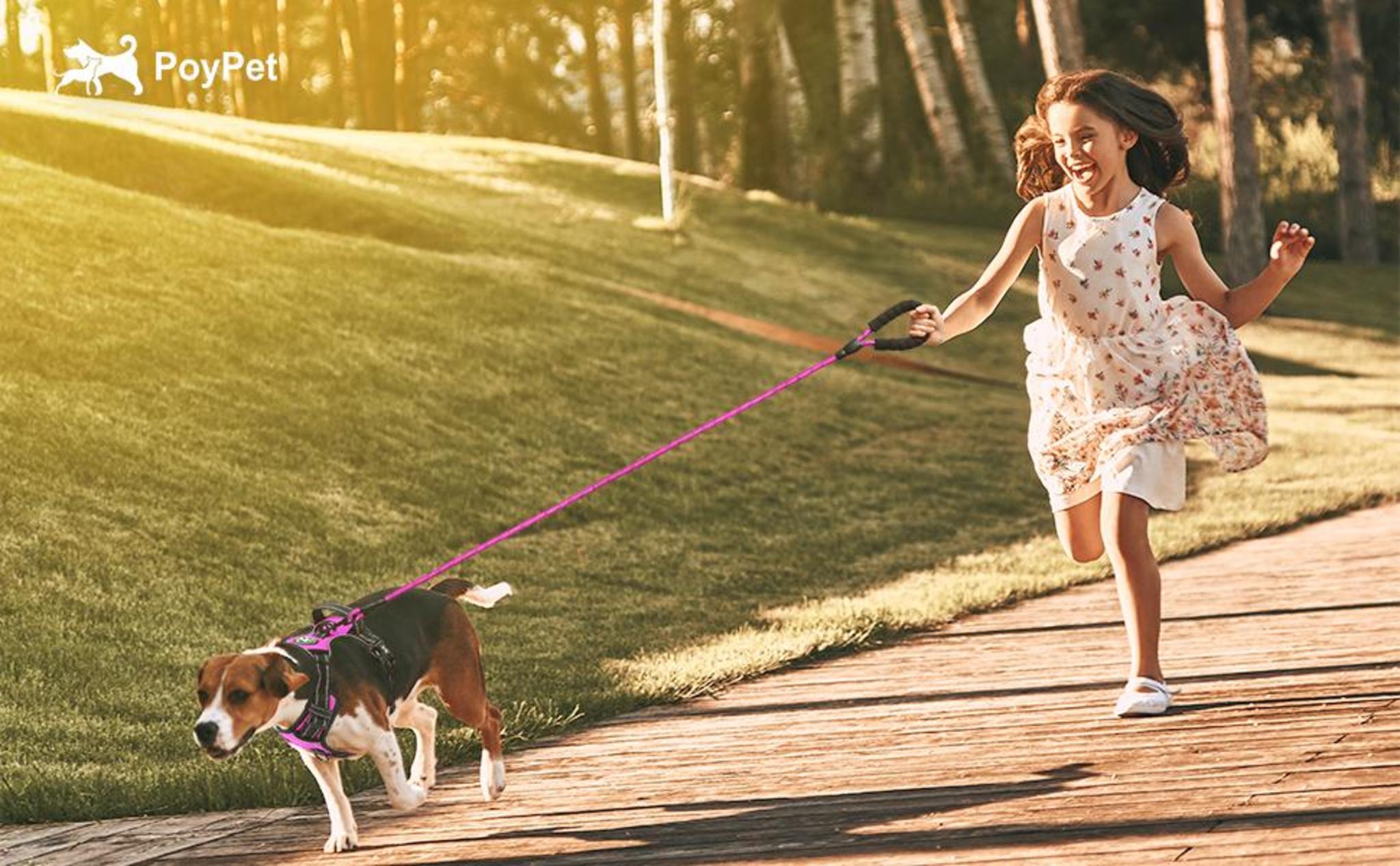Escape Proof No Pull Dog Harness and Leash Combo with Reflective Strips and Padded Handle image 6