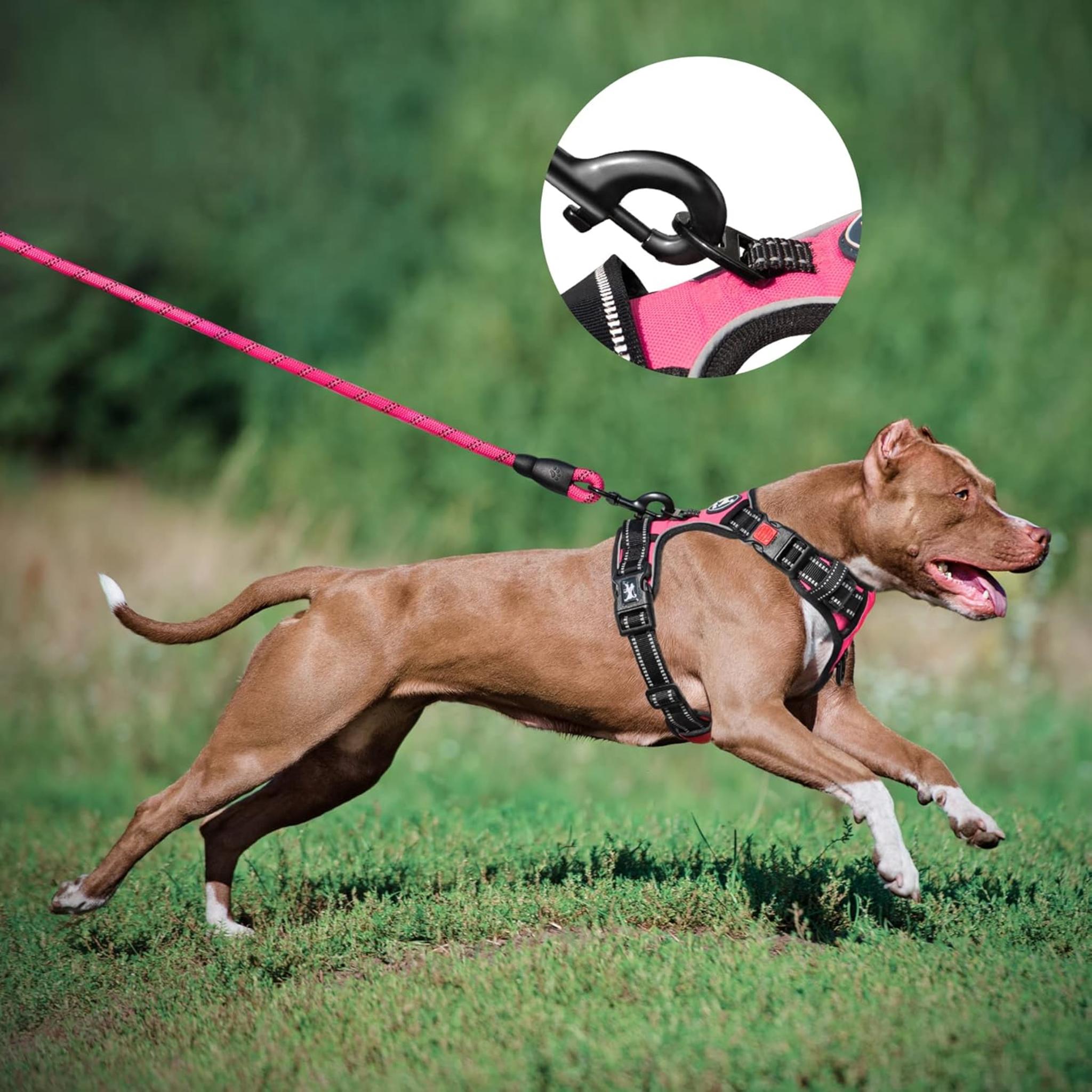 Escape Proof No Pull Dog Harness and Leash Combo with Reflective Strips and Padded Handle