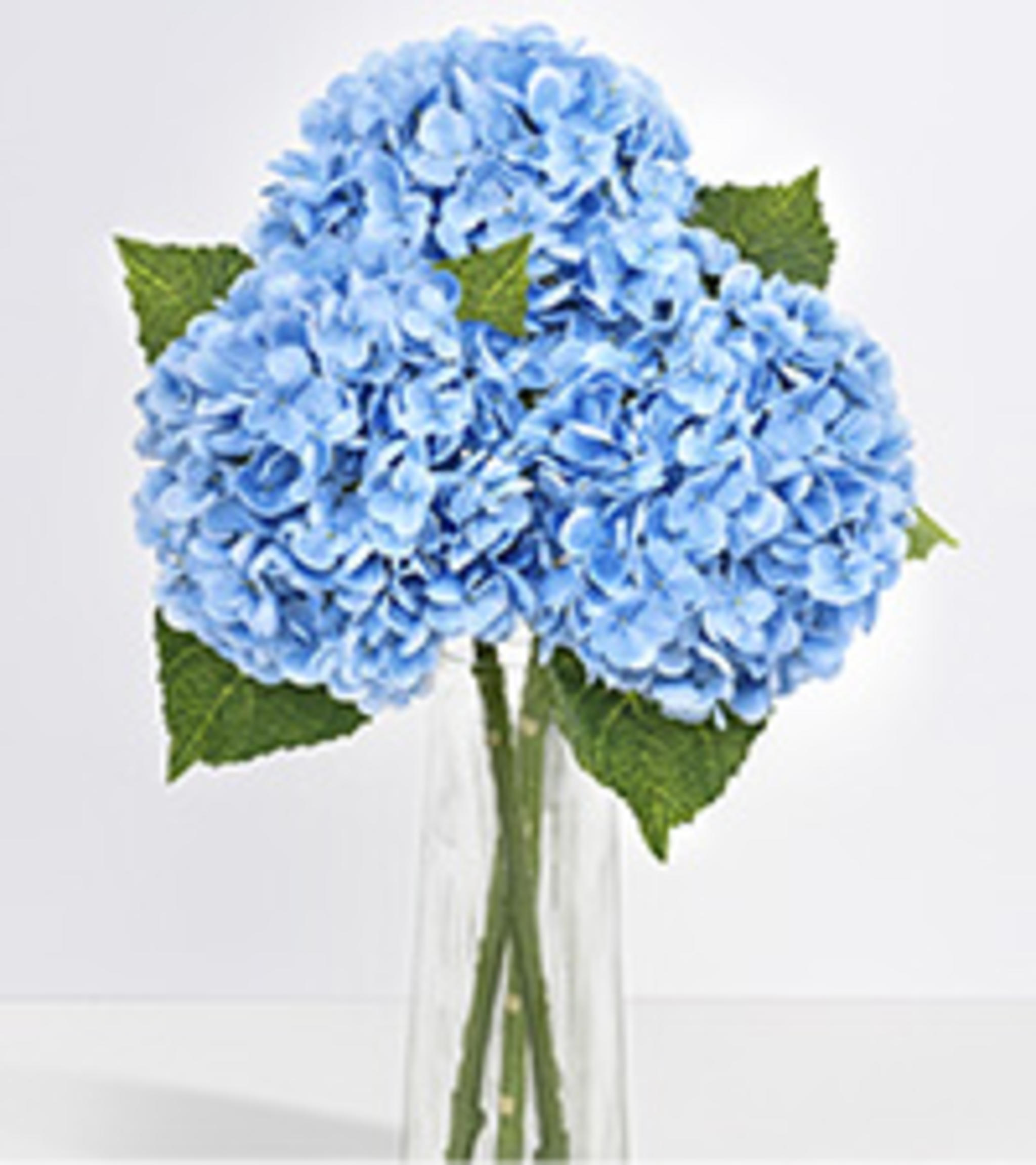 3 Pcs Real Touch Artificial Hydrangea Flowers, 21" Large 3D Print Latex Faux Hydrangeas for Home Decor image 20