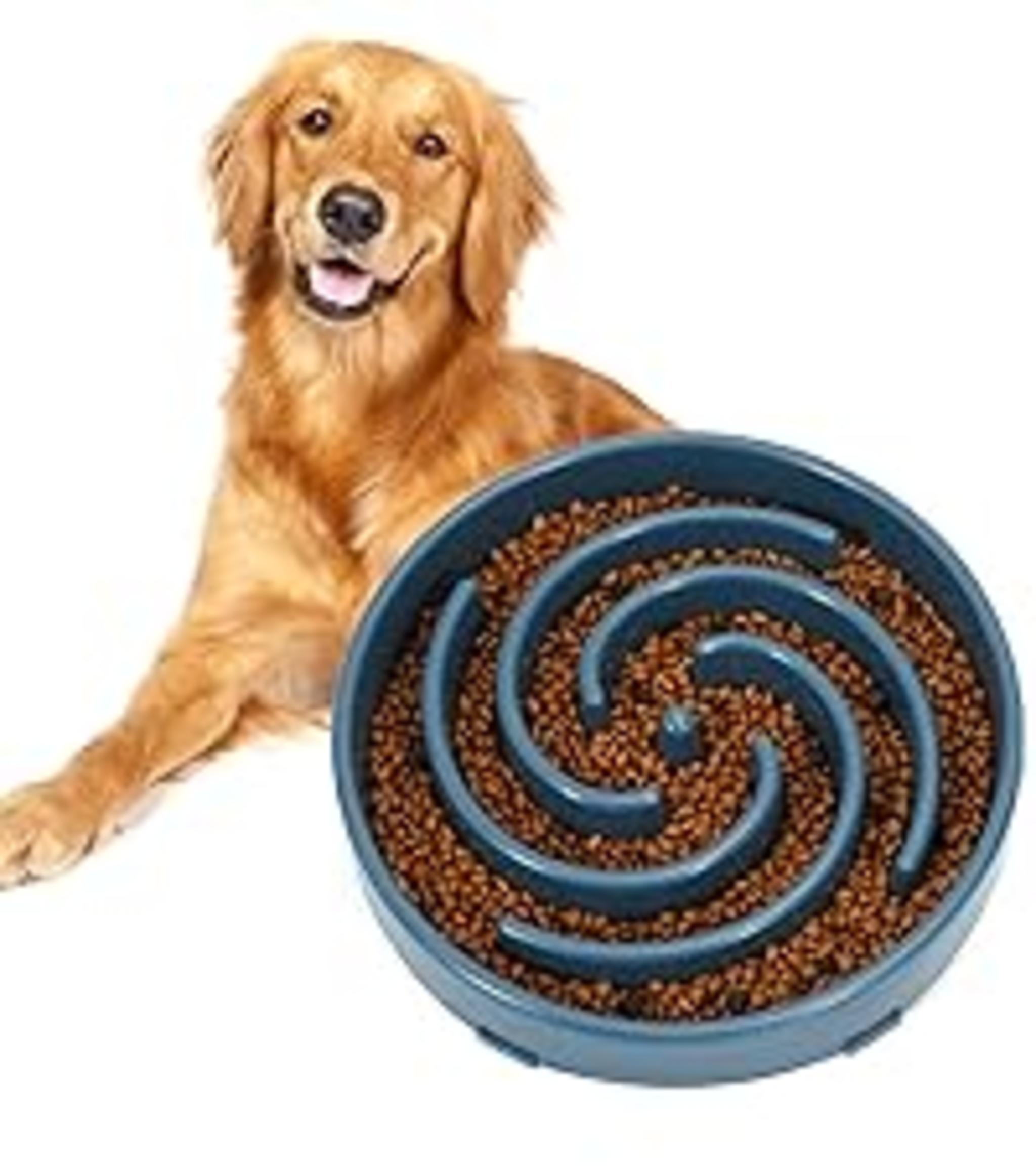 Slow Feeder Dog Bowl for Large Medium Dogs, Non-Slip Maze Puzzle Bowl to Prevent Bloat and Choking image 15