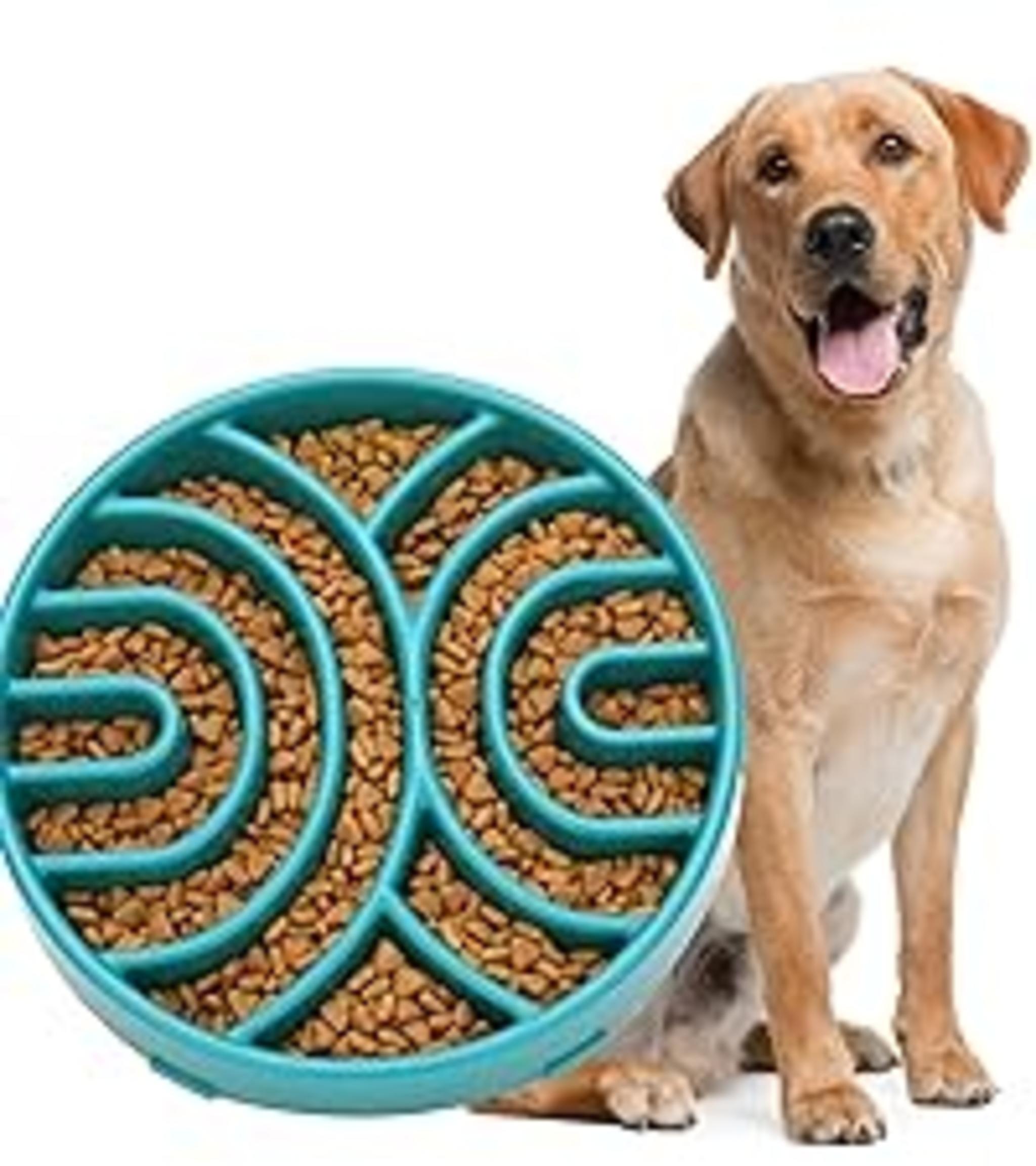 Slow Feeder Dog Bowl for Large Medium Dogs, Non-Slip Maze Puzzle Bowl to Prevent Bloat and Choking image 17