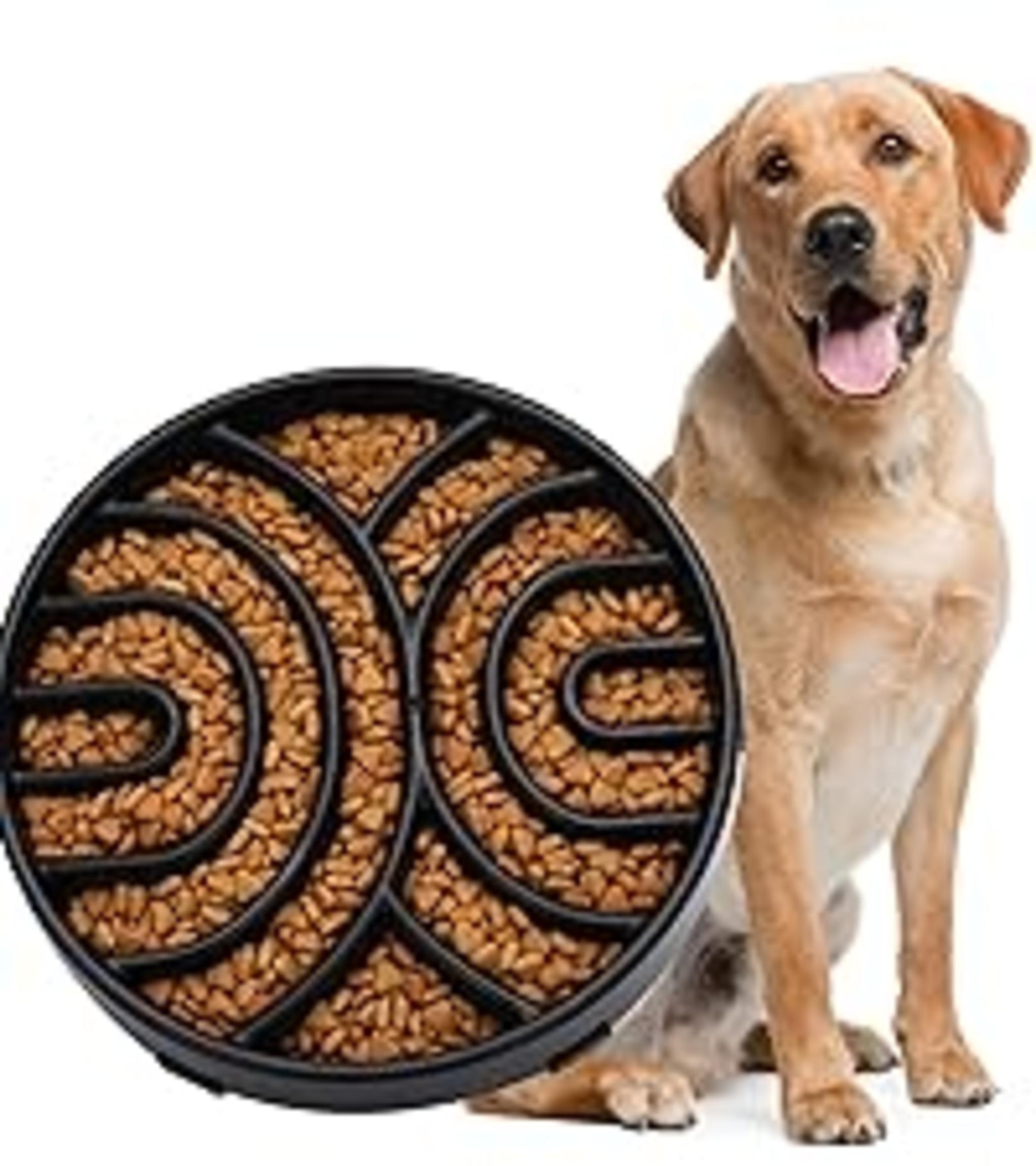 Slow Feeder Dog Bowl for Large Medium Dogs, Non-Slip Maze Puzzle Bowl to Prevent Bloat and Choking image 16