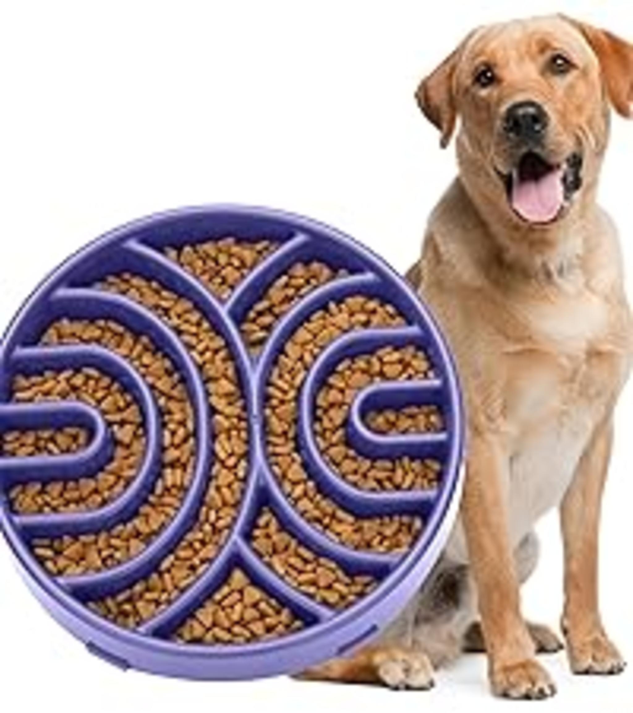 Slow Feeder Dog Bowl for Large Medium Dogs, Non-Slip Maze Puzzle Bowl to Prevent Bloat and Choking image 18