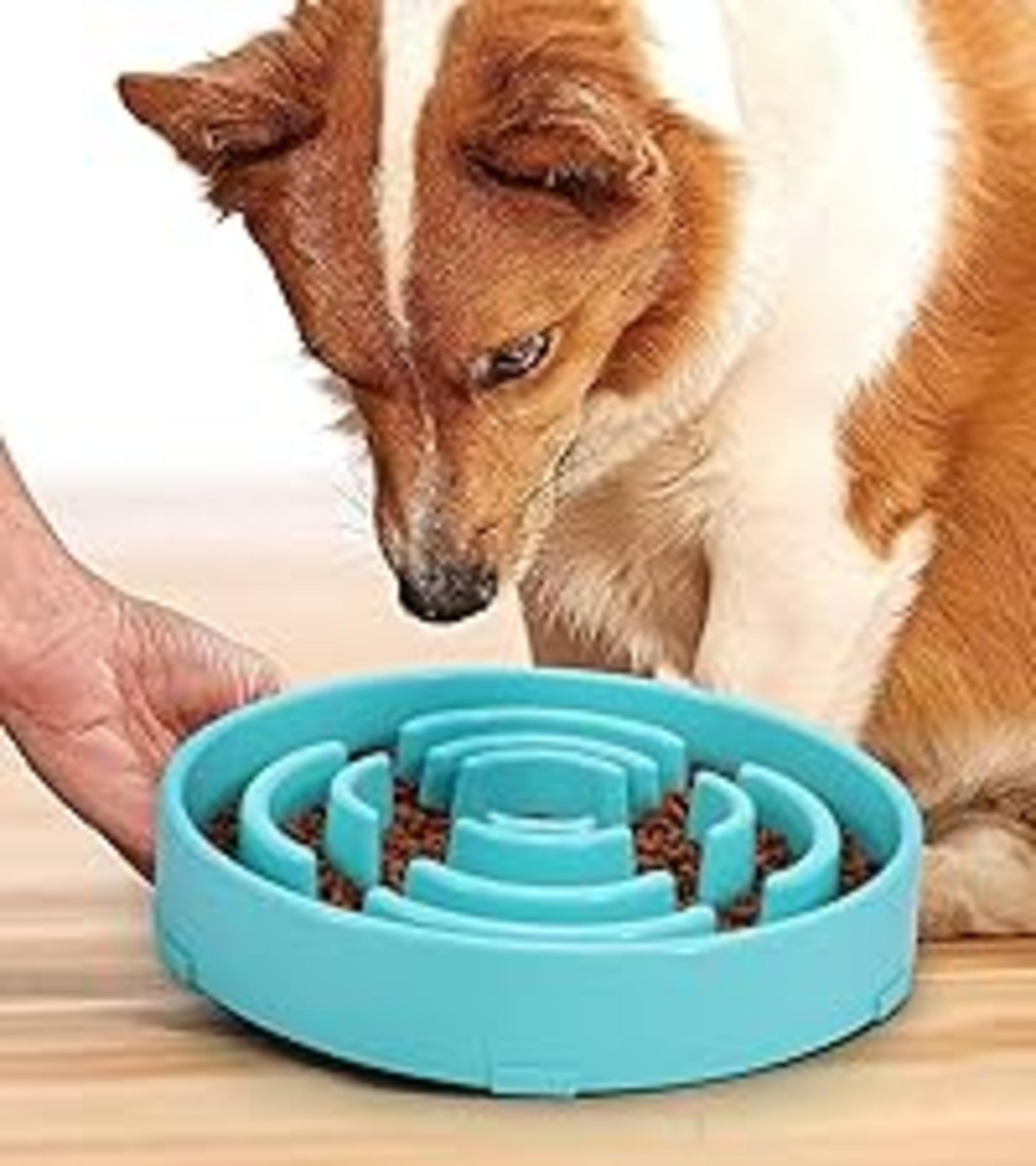 Slow Feeder Dog Bowl for Large Medium Dogs, Non-Slip Maze Puzzle Bowl to Prevent Bloat and Choking image 20
