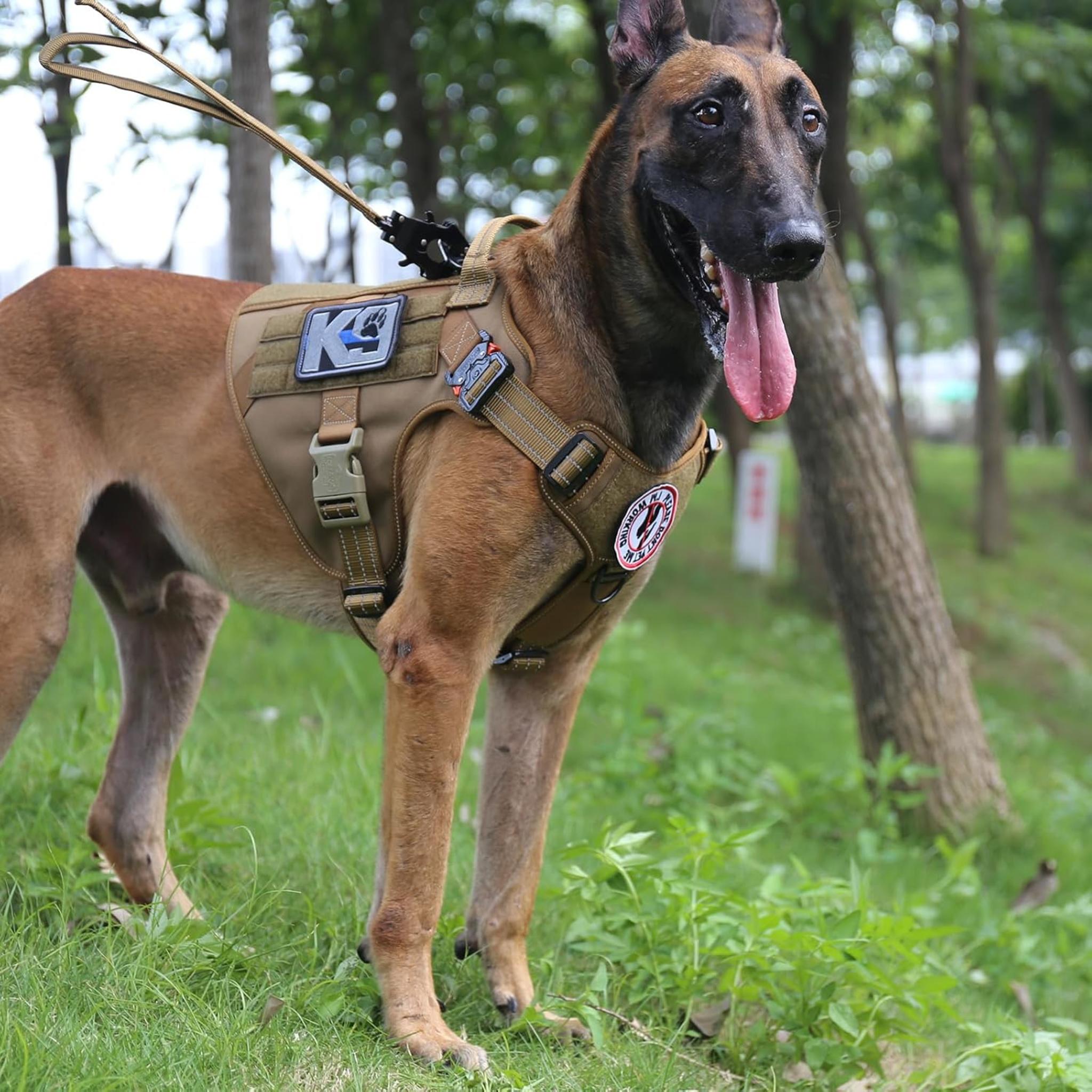 Tactical Dog Harness with 2X Metal Buckles, No-Pull Front Clip and MOLLE System