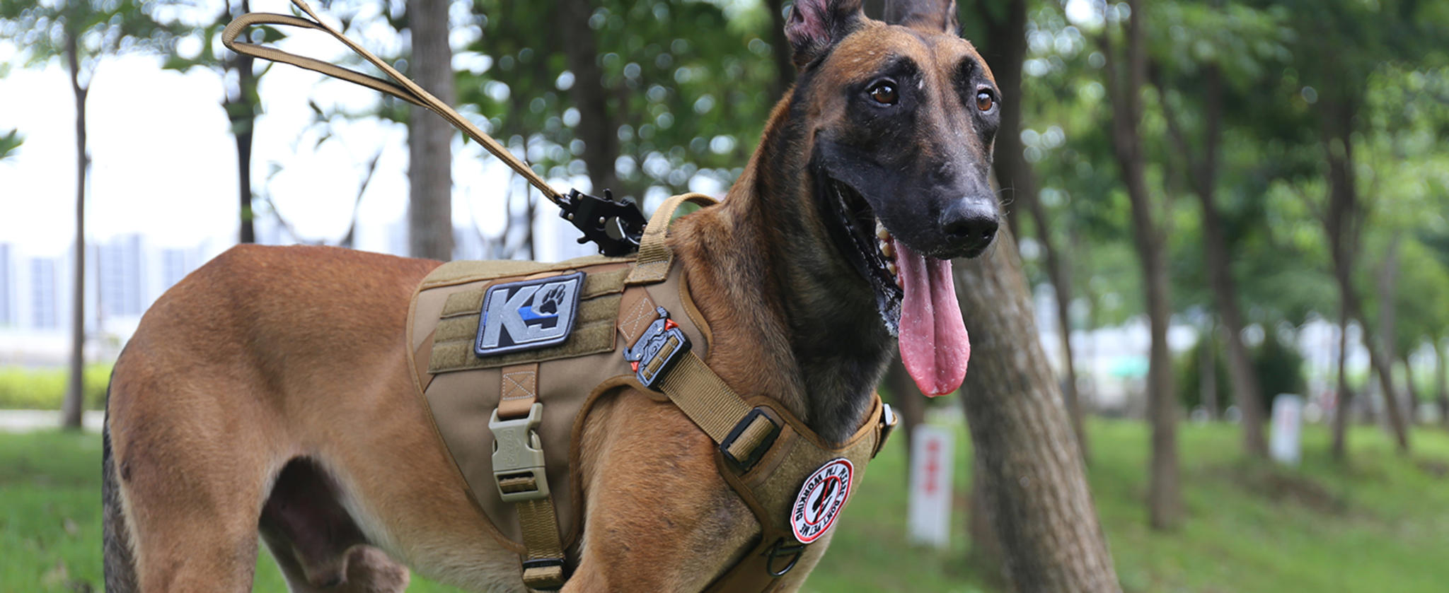 Tactical Dog Harness with 2X Metal Buckles, No-Pull Front Clip and MOLLE System image 5