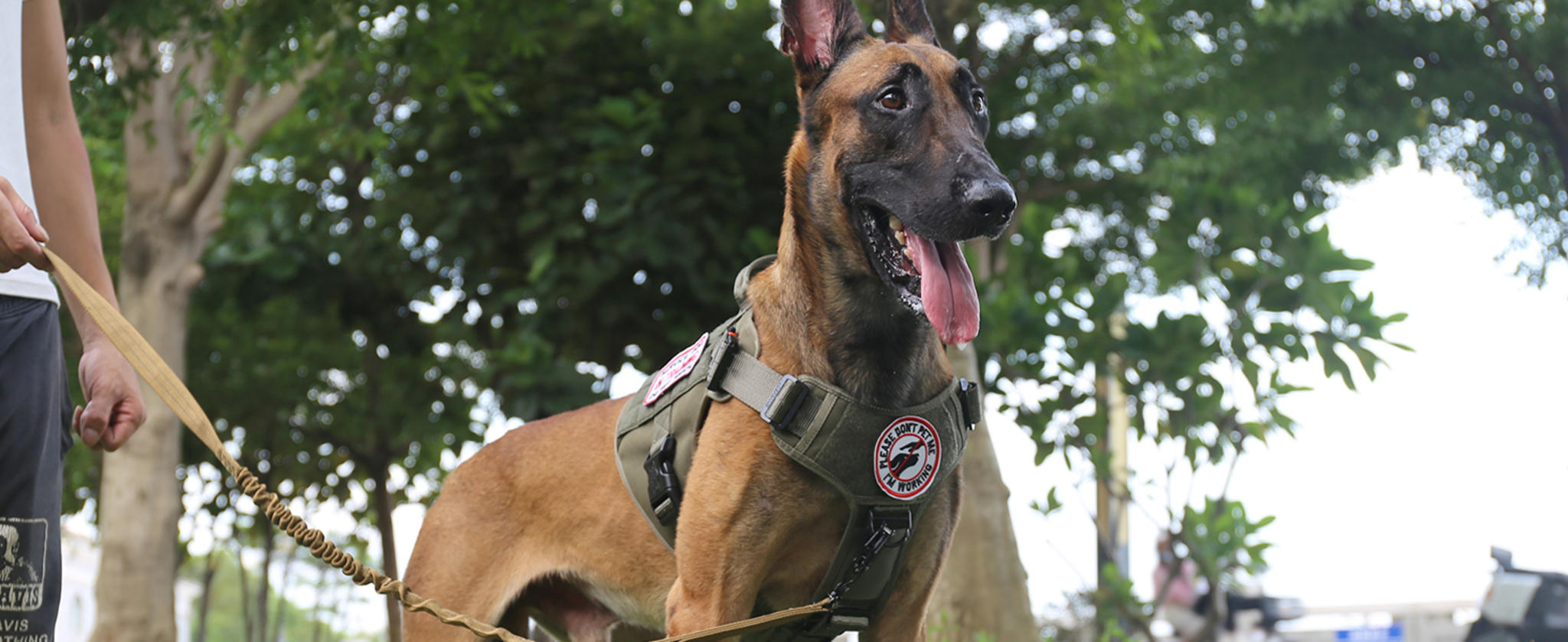 Tactical Dog Harness with 2X Metal Buckles, No-Pull Front Clip and MOLLE System image 7