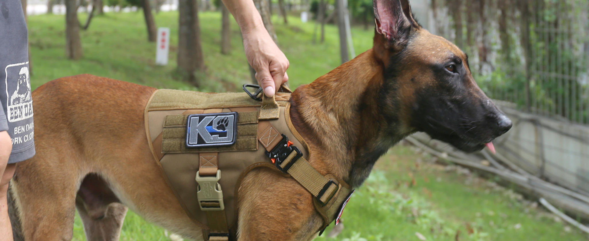 Tactical Dog Harness with 2X Metal Buckles, No-Pull Front Clip and MOLLE System image 8