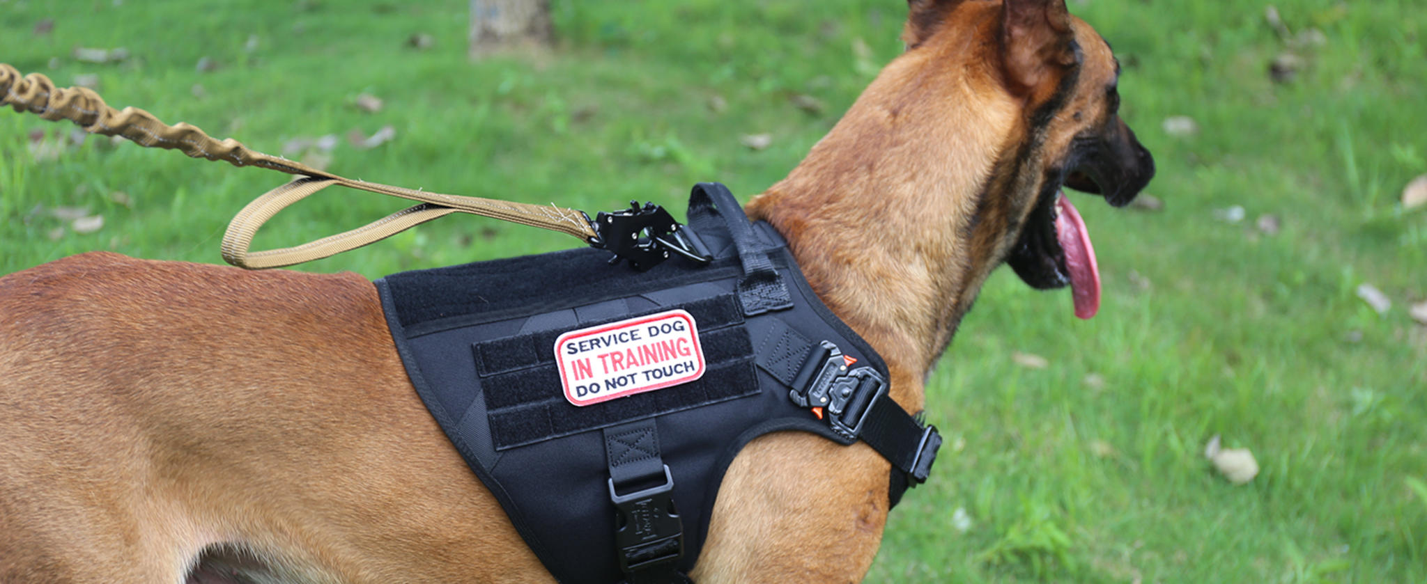 Tactical Dog Harness with 2X Metal Buckles, No-Pull Front Clip and MOLLE System image 9