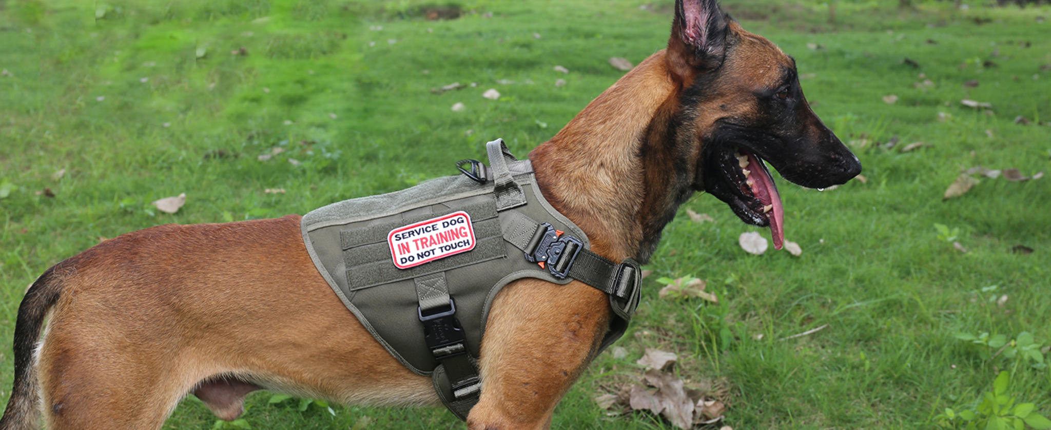 Tactical Dog Harness with 2X Metal Buckles, No-Pull Front Clip and MOLLE System image 14
