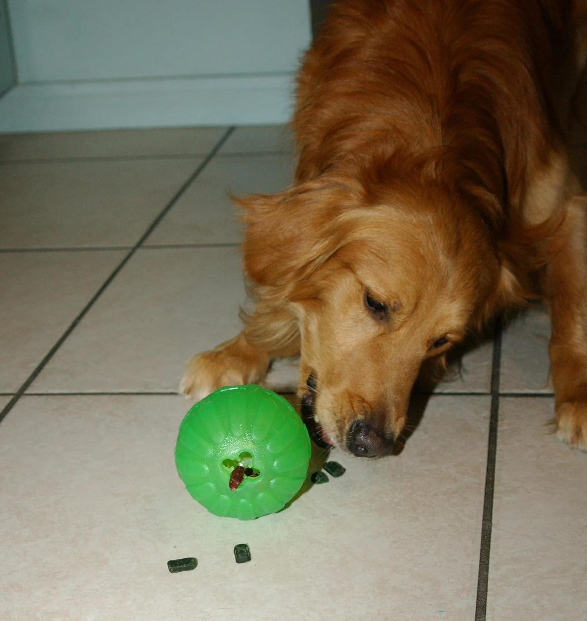 Durable Treat Dispensing Chew Ball for Large Dogs - Tough Rubber Alternative