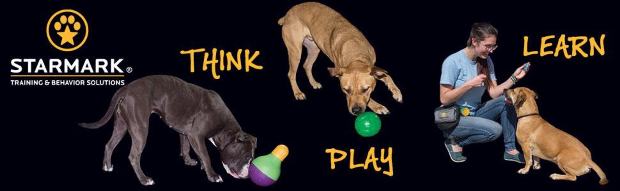 Durable Treat Dispensing Chew Ball for Large Dogs - Tough Rubber Alternative image 8