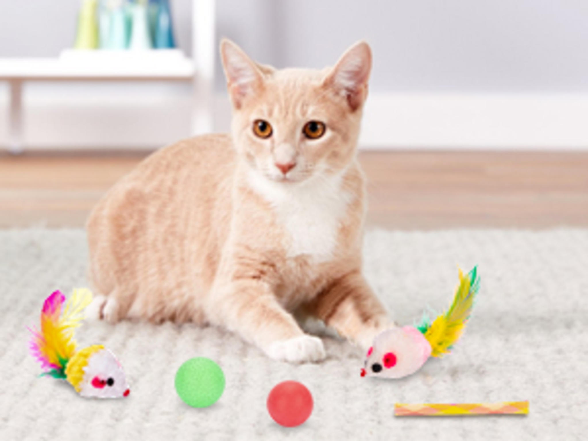 33Pcs Cat Toys Variety Pack with Collapsible Tunnel, Feather Wand and Interactive Balls image 13