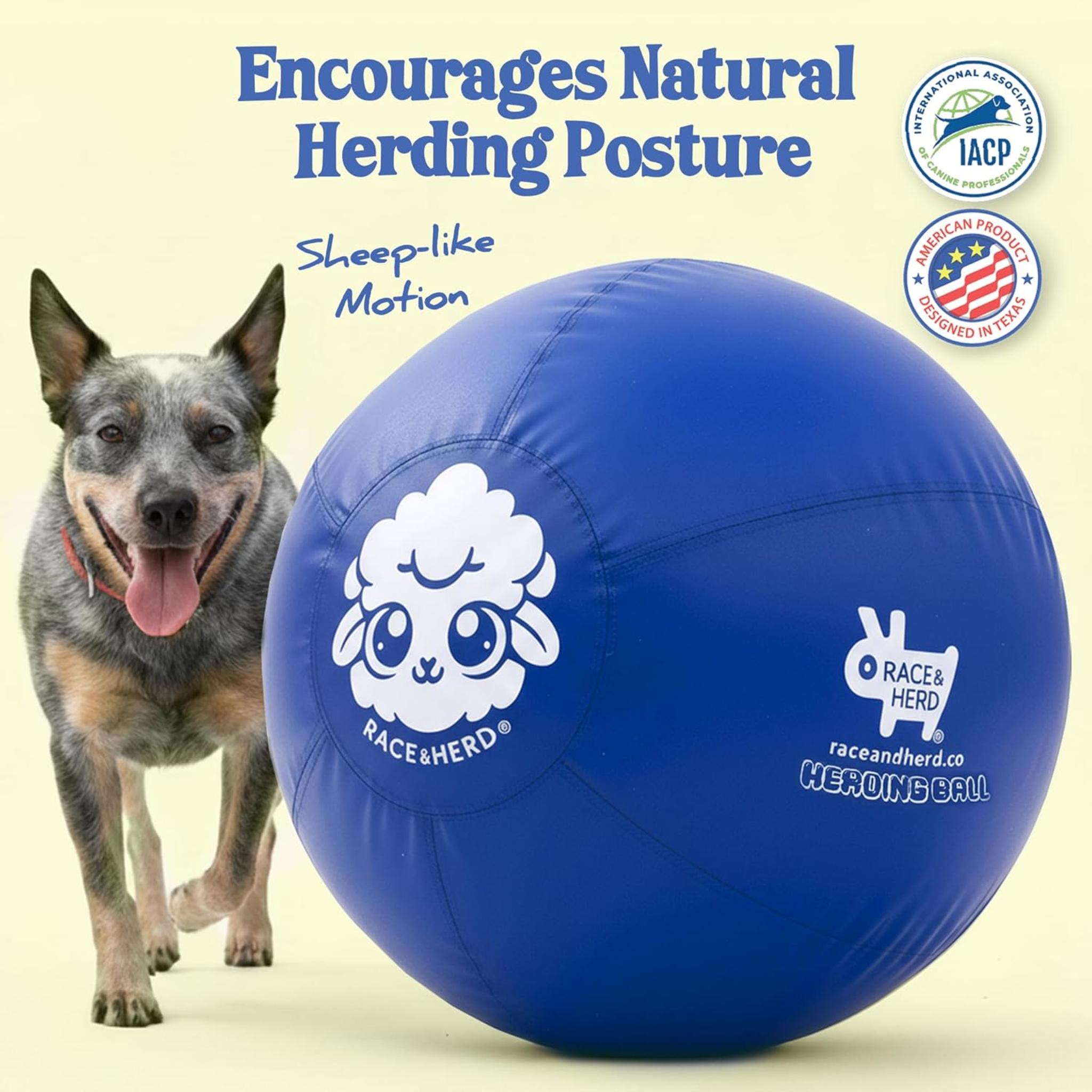 25" Original XXL Herding Ball for Large Dogs - Durable Outdoor Exercise Toy