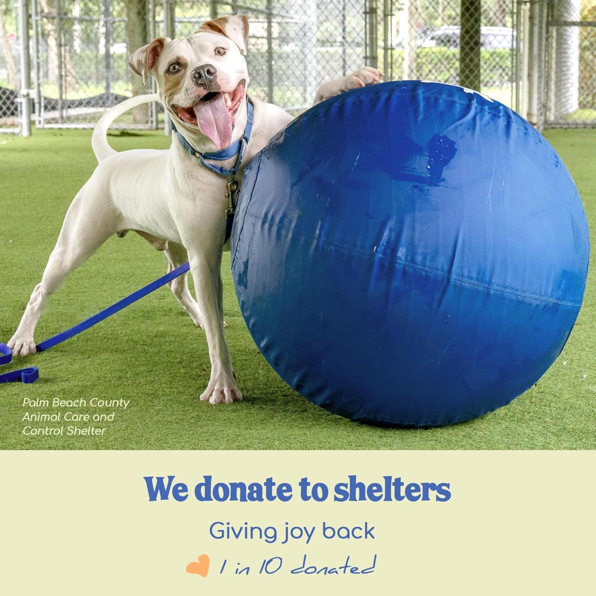 25" Original XXL Herding Ball for Large Dogs - Durable Outdoor Exercise Toy