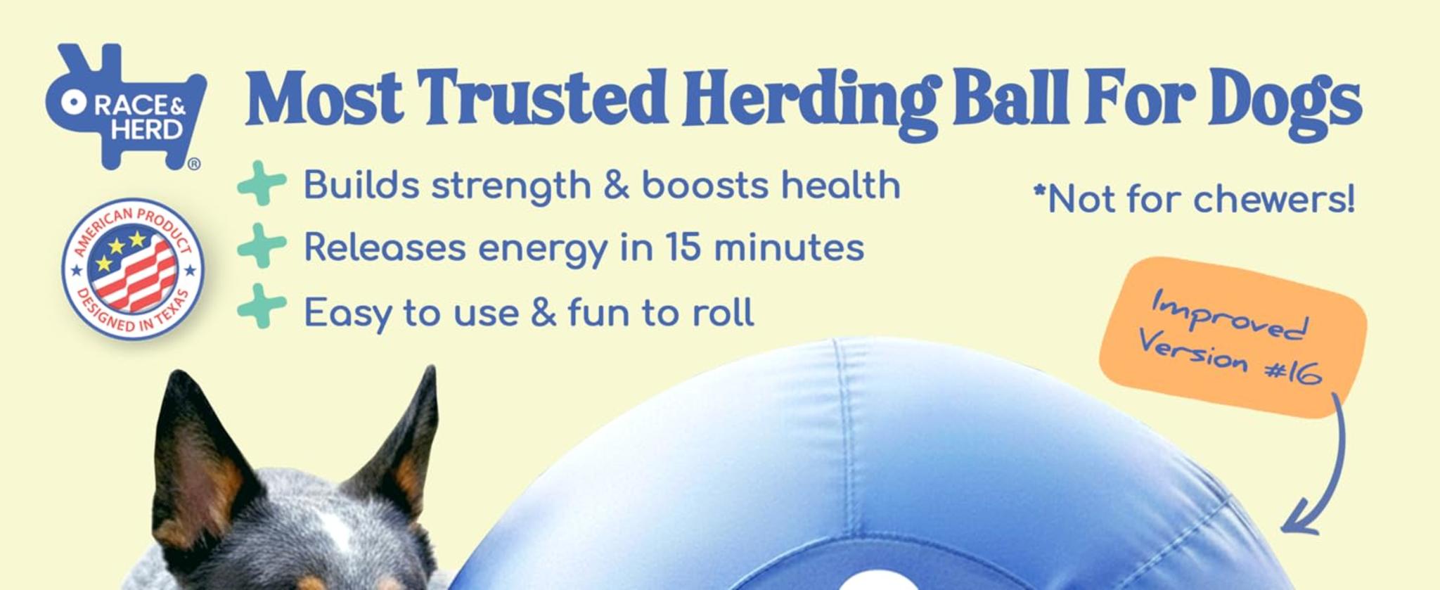 25" Original XXL Herding Ball for Large Dogs - Durable Outdoor Exercise Toy image 10