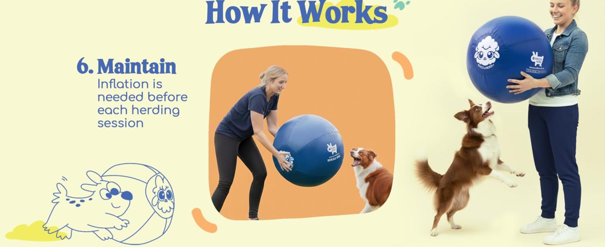 25" Original XXL Herding Ball for Large Dogs - Durable Outdoor Exercise Toy image 18