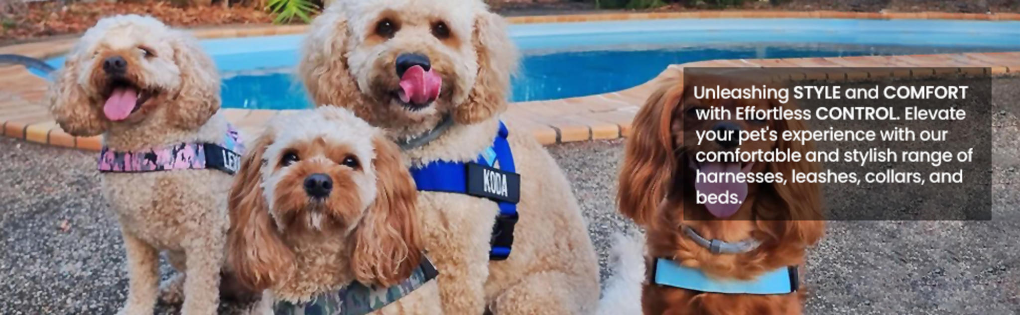 Heavy-Duty Adjustable Dog Harness - Chafe-Resistant & High Visibility image 9