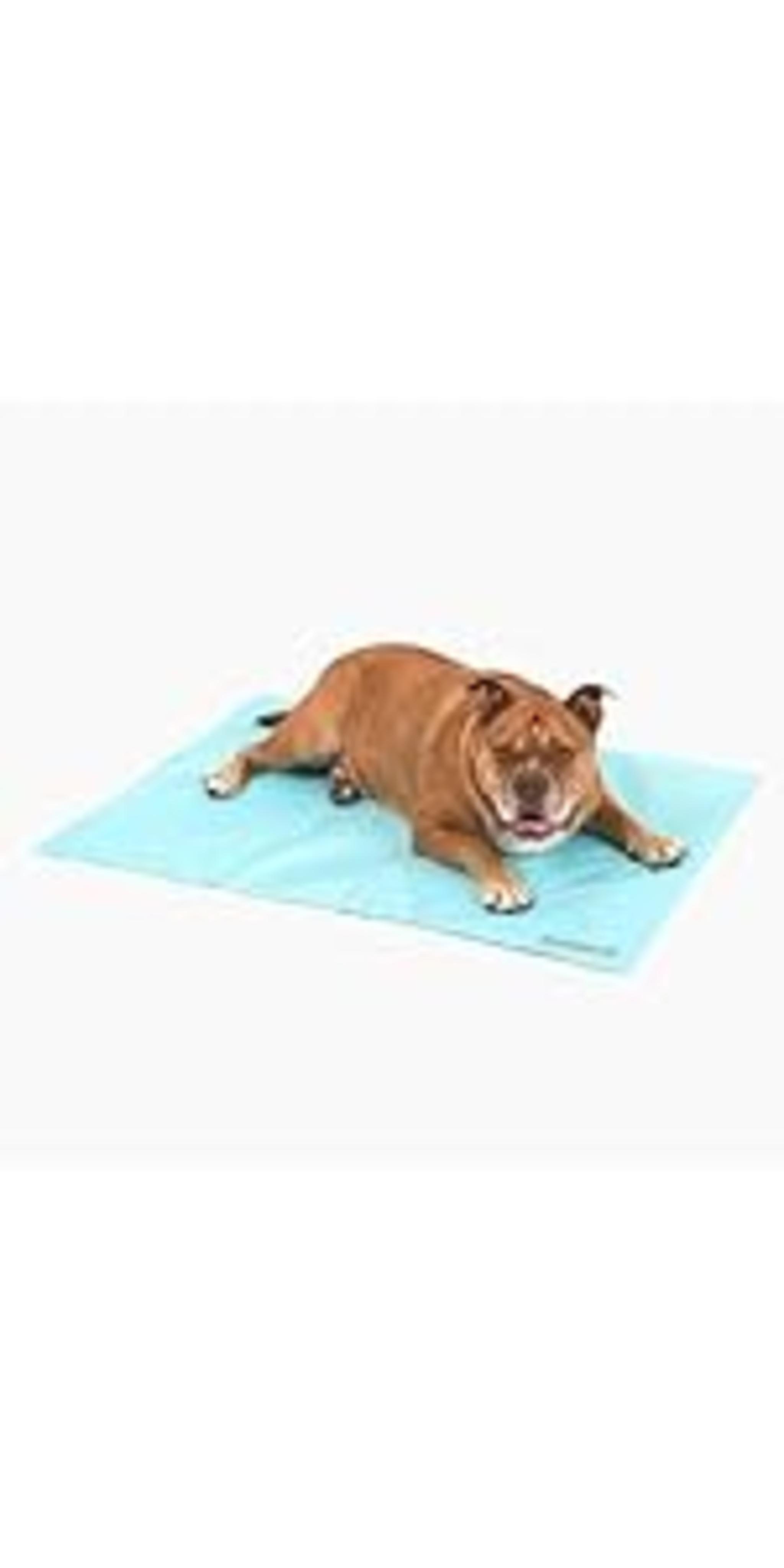 Heavy-Duty Adjustable Dog Harness - Chafe-Resistant & High Visibility image 19