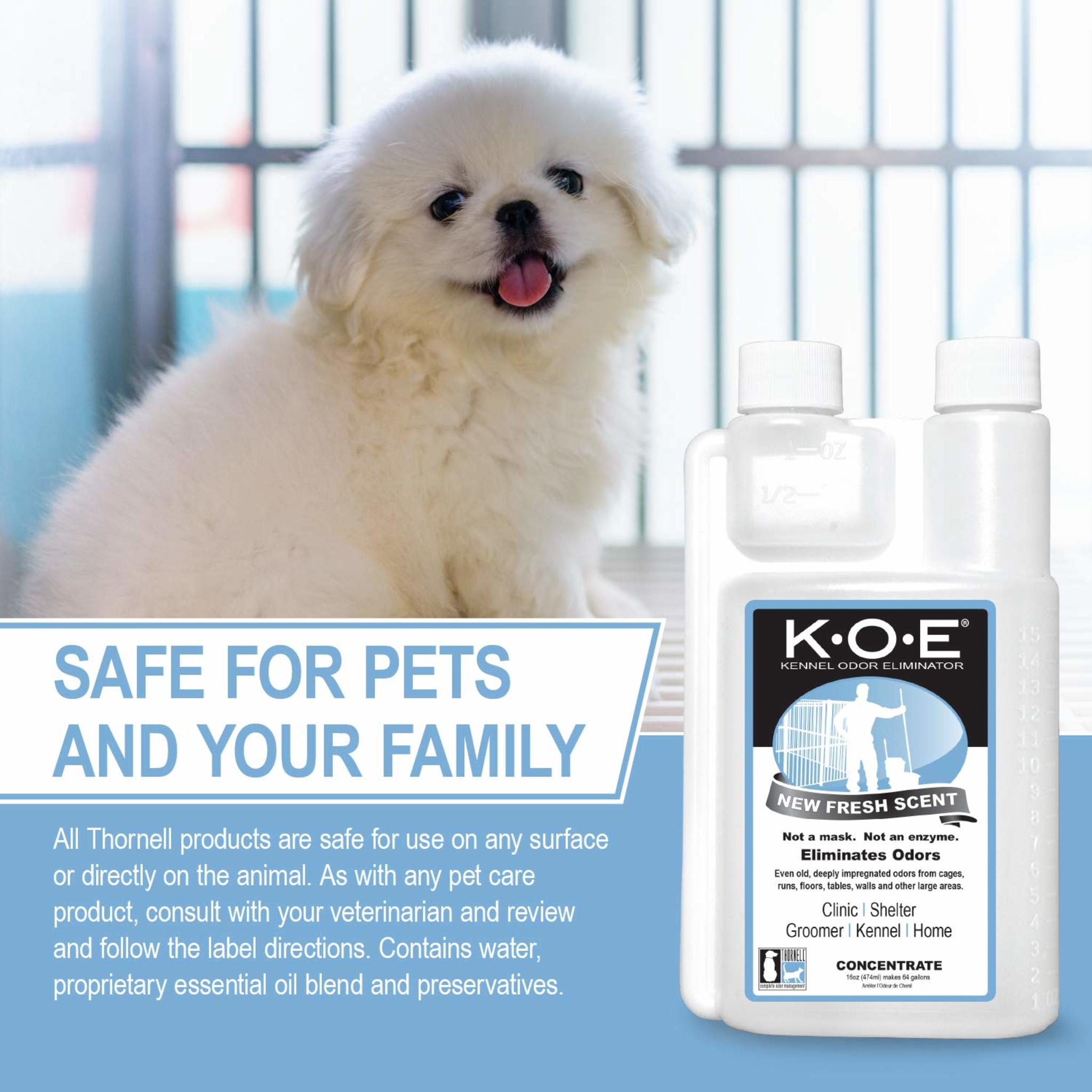 Professional Kennel Odor Eliminator Concentrate - Non-Enzymatic Formula for Cages and Runs