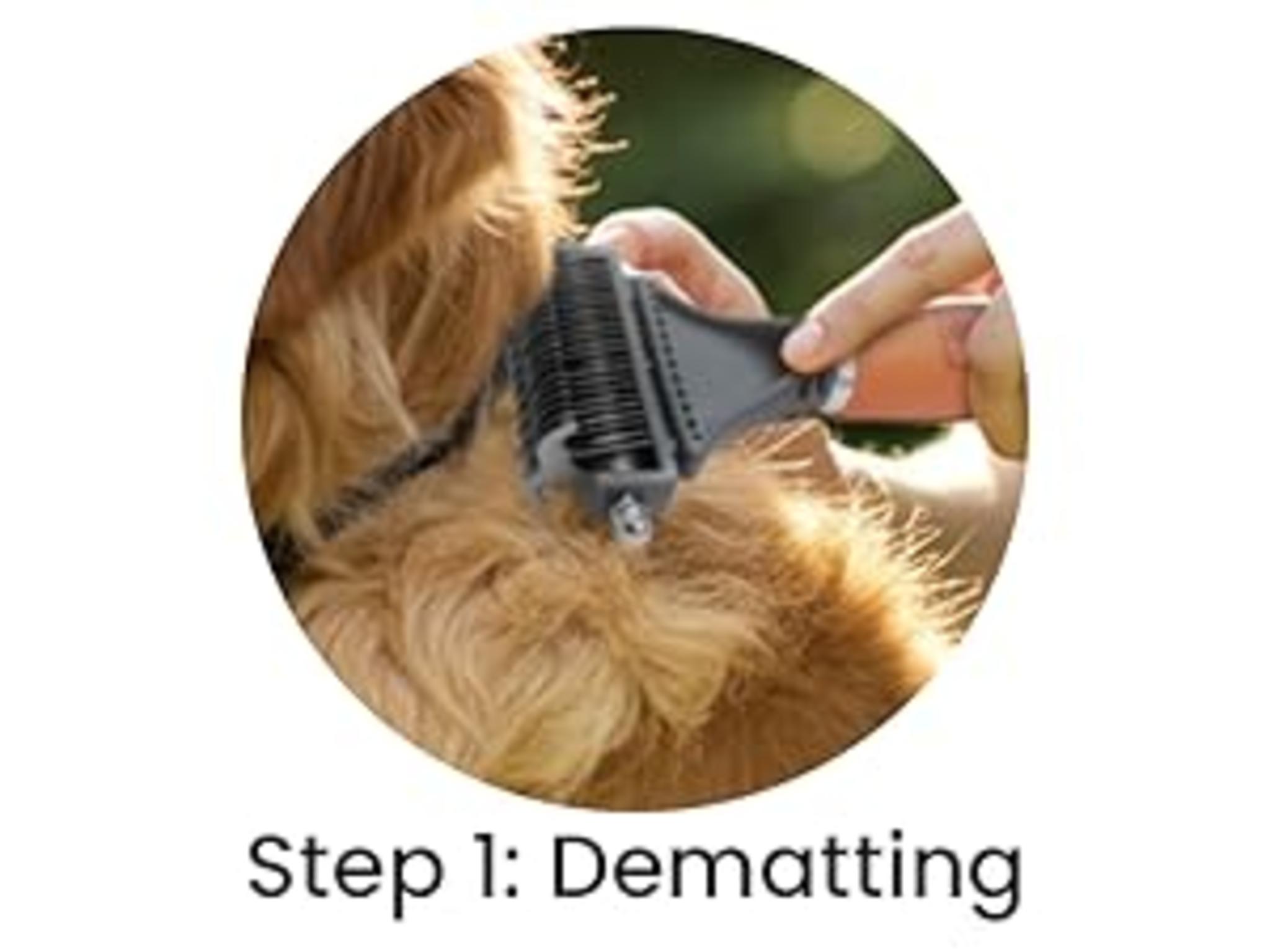 Professional 2-in-1 Pet Dematting Comb and Undercoat Rake image 11